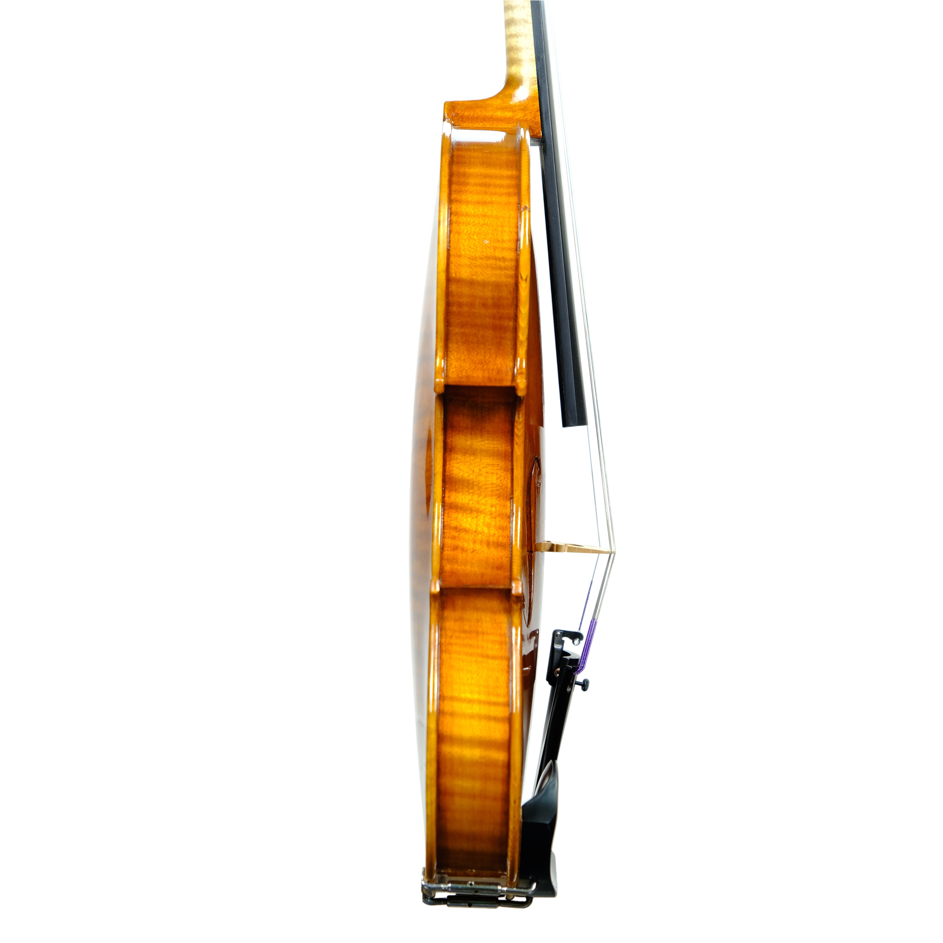 Violin - Scala Perfetta, Guarneri, Cremona 2024 E