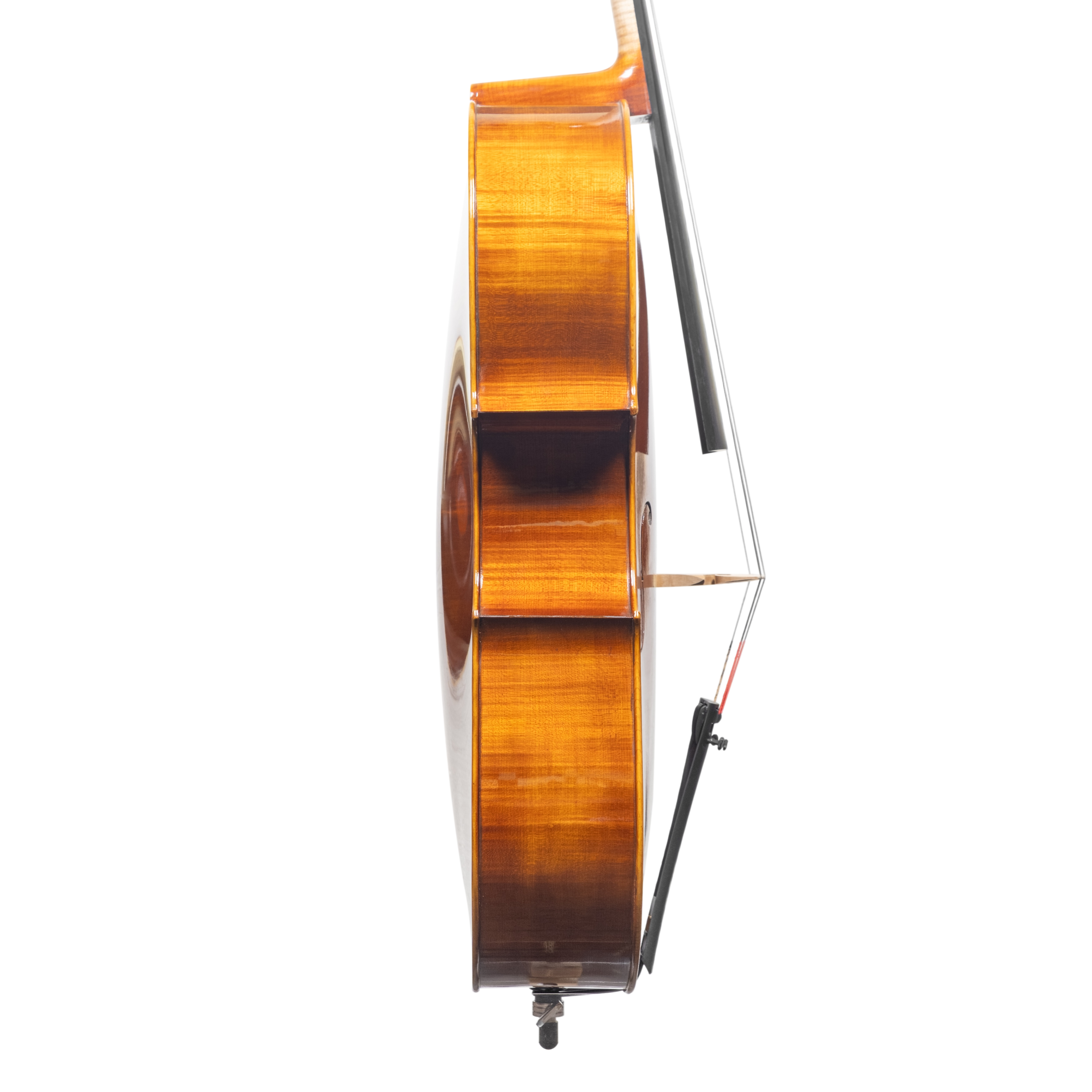 Cello - Scala Perfetta, Montagnana, Cremona 2025 "CIMA TOSA"
