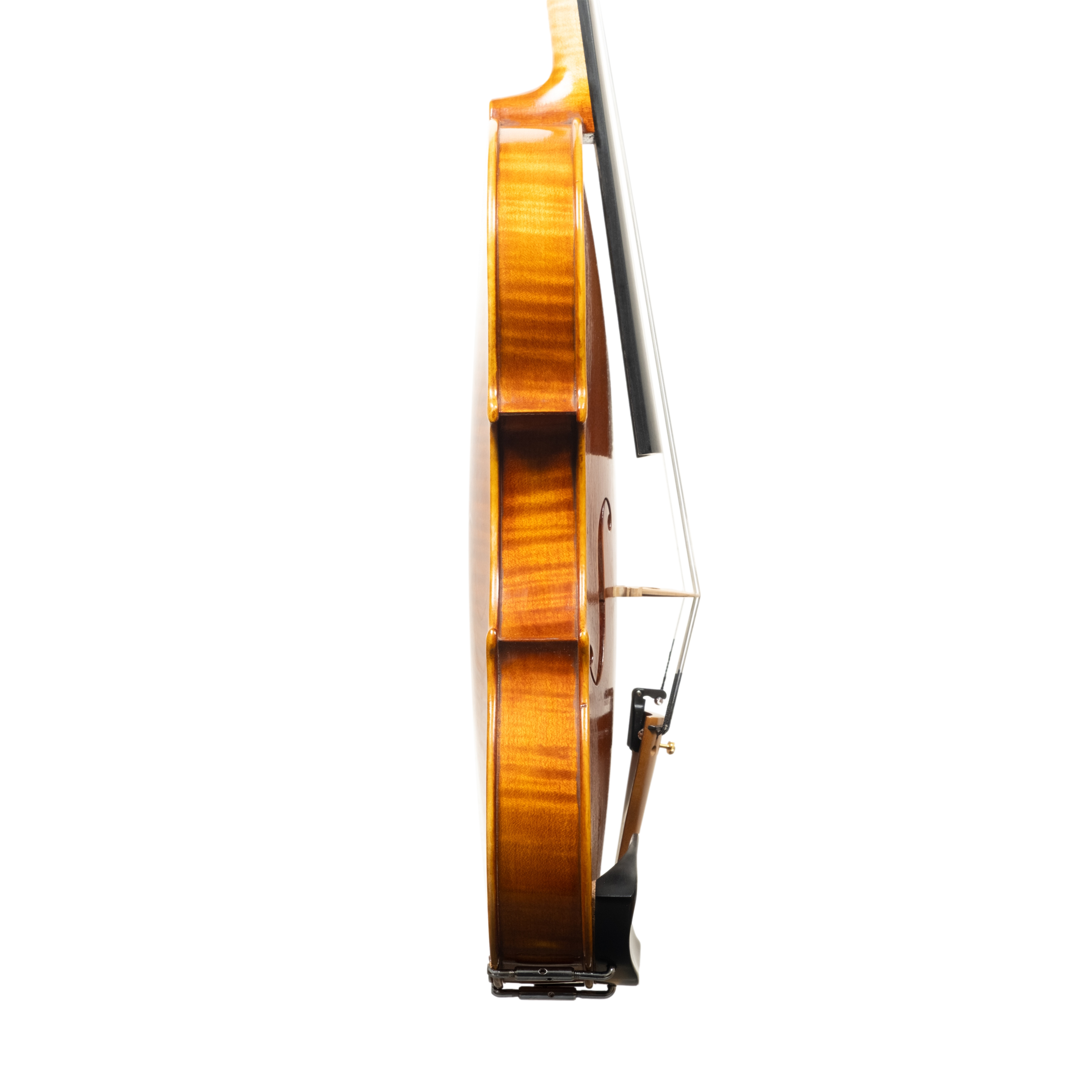 Violin - Linea Macchi, Guarneri "Cannone" 2026 Adige