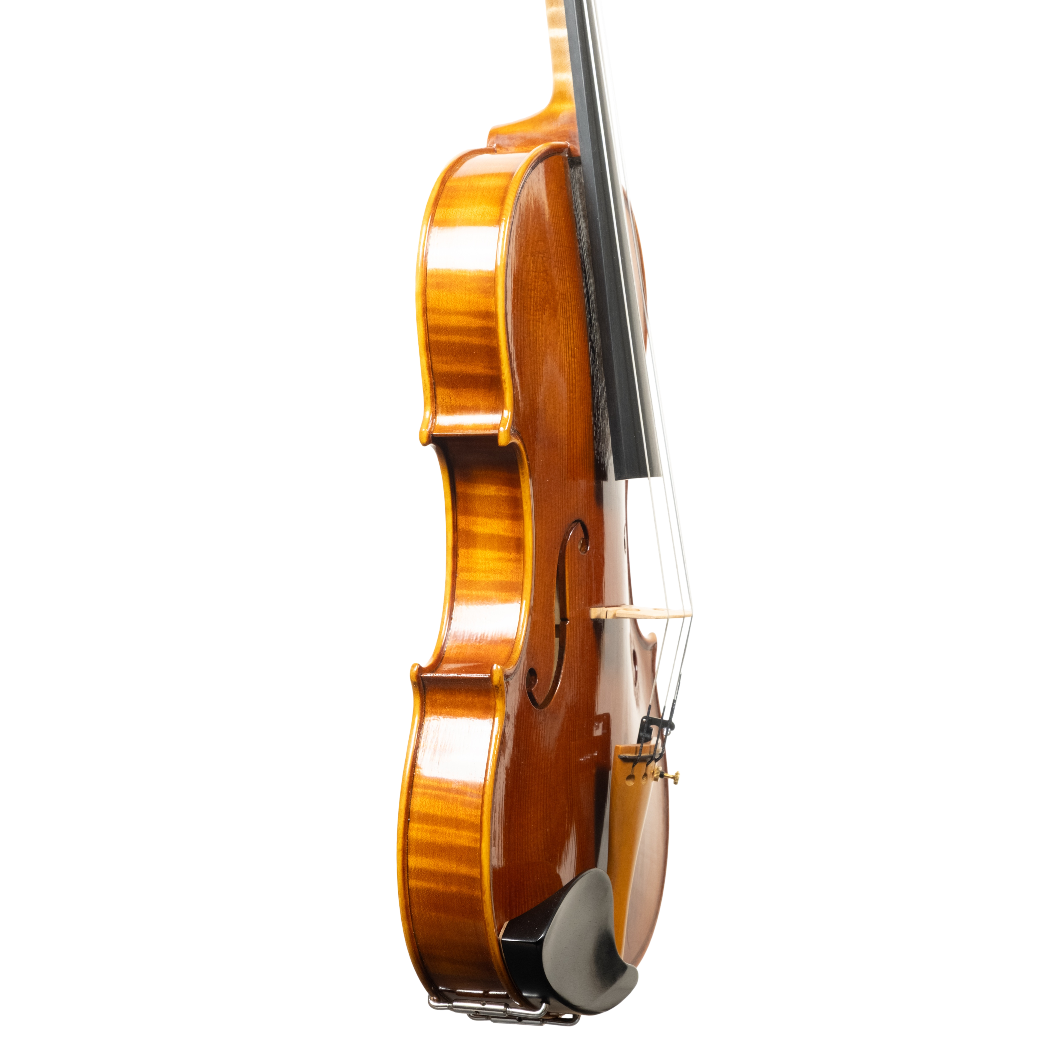 Violin - Linea Macchi, Guarneri "Lord Wilton" 2026 Fersina