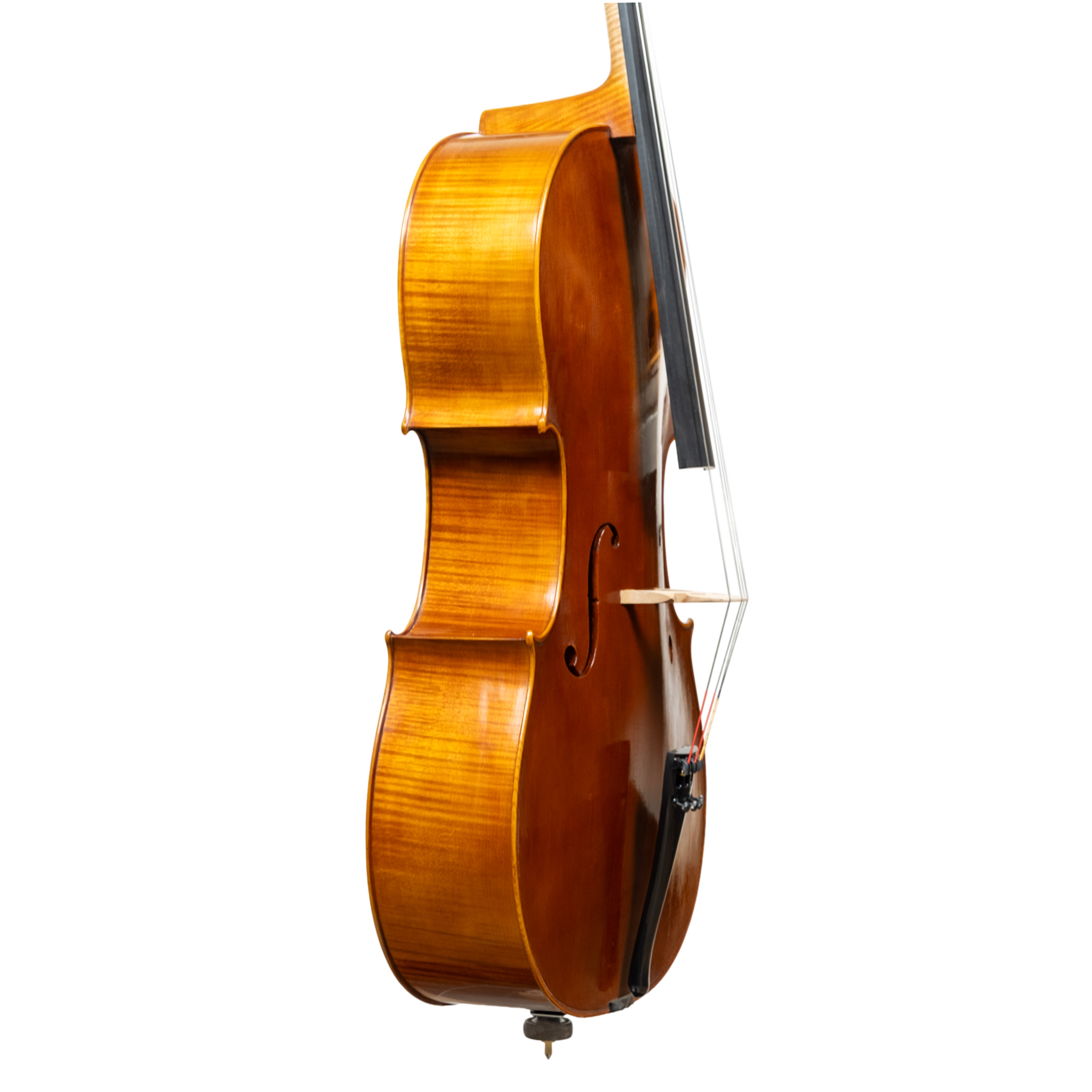 Cello - Linea Macchi, Stradivari "Gore Booth", Cremona 2026