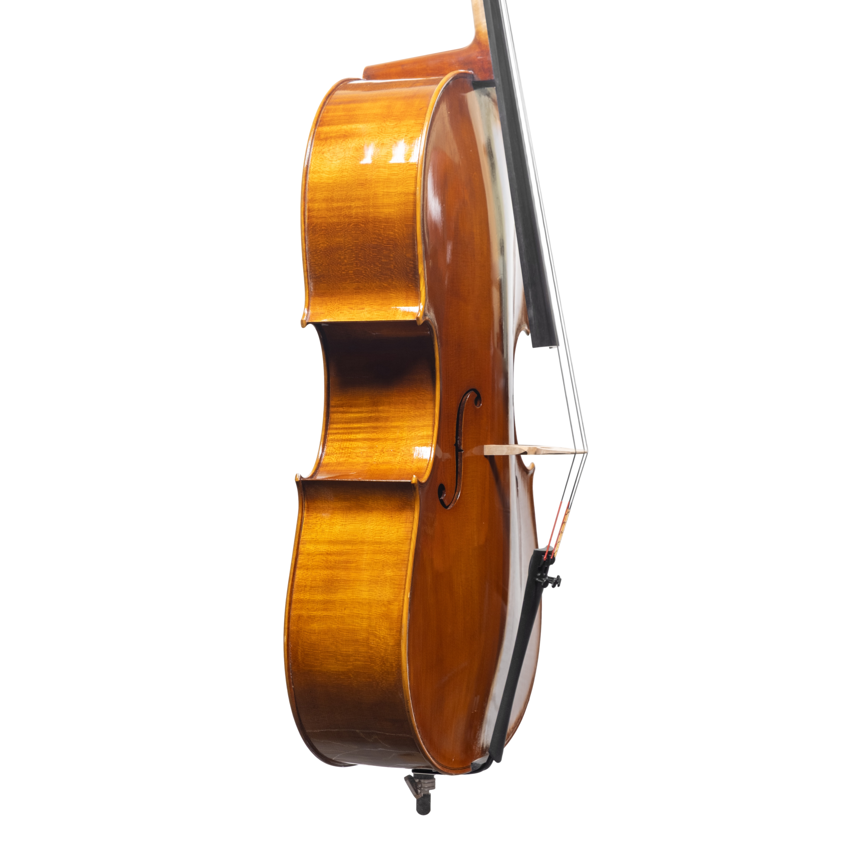Cello - Scala Perfetta, Montagnana, Cremona 2025 "CERVATI"