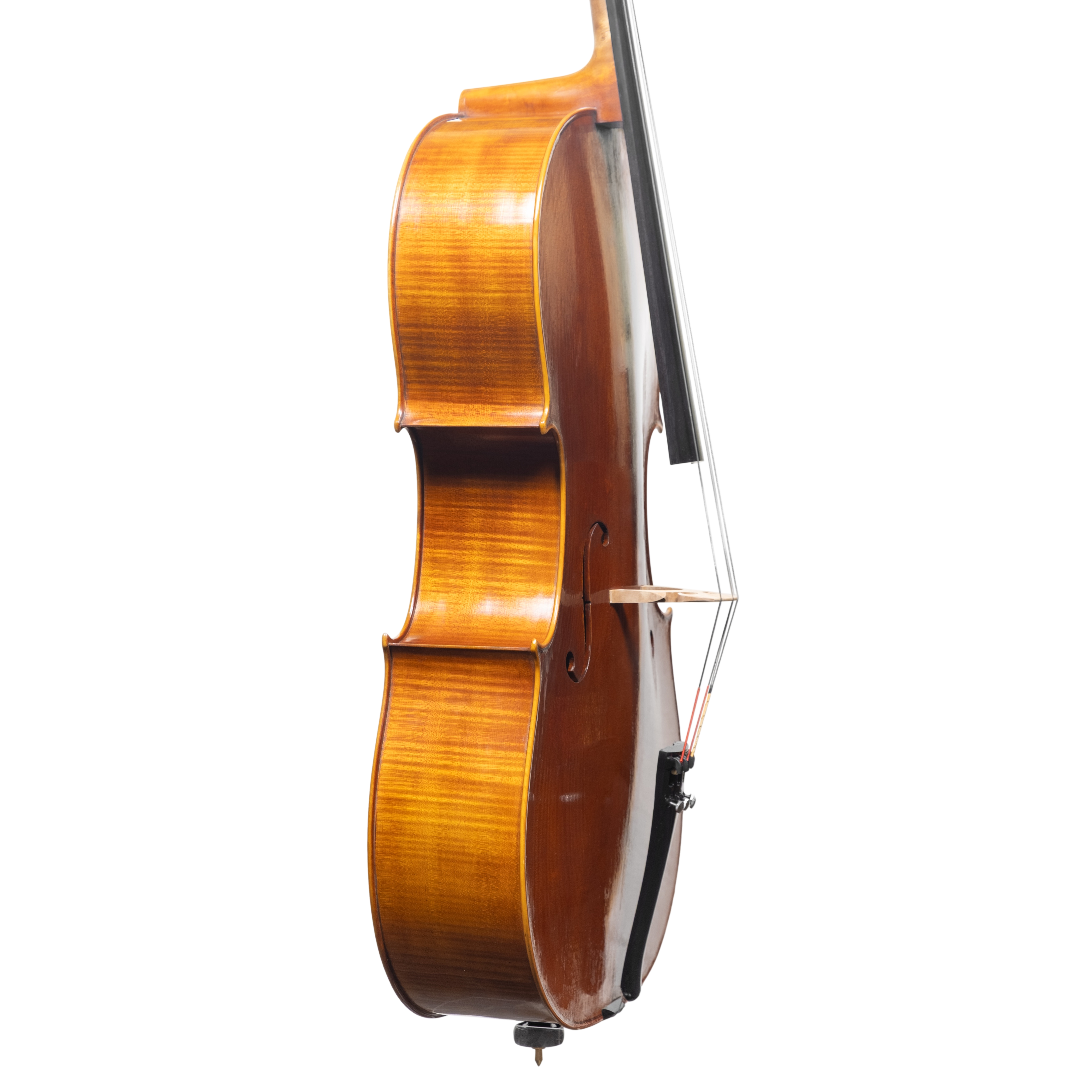 Cello - Stefano Guerreschi, mod. Stradivari "Gore Booth", Cremona 2025