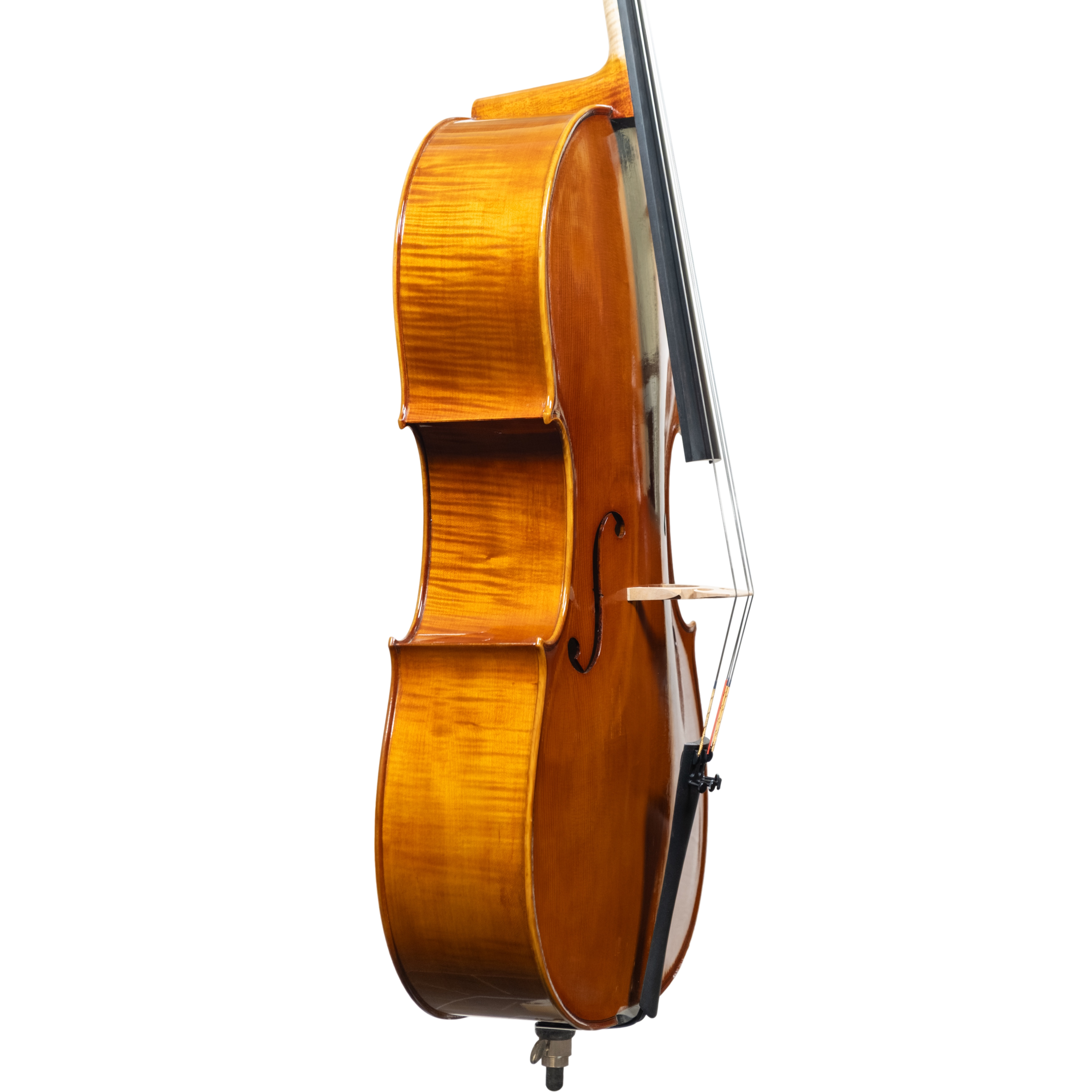 Cello - Scala Perfetta, Stradivari, Cremona 2025 "CEVEDALE"