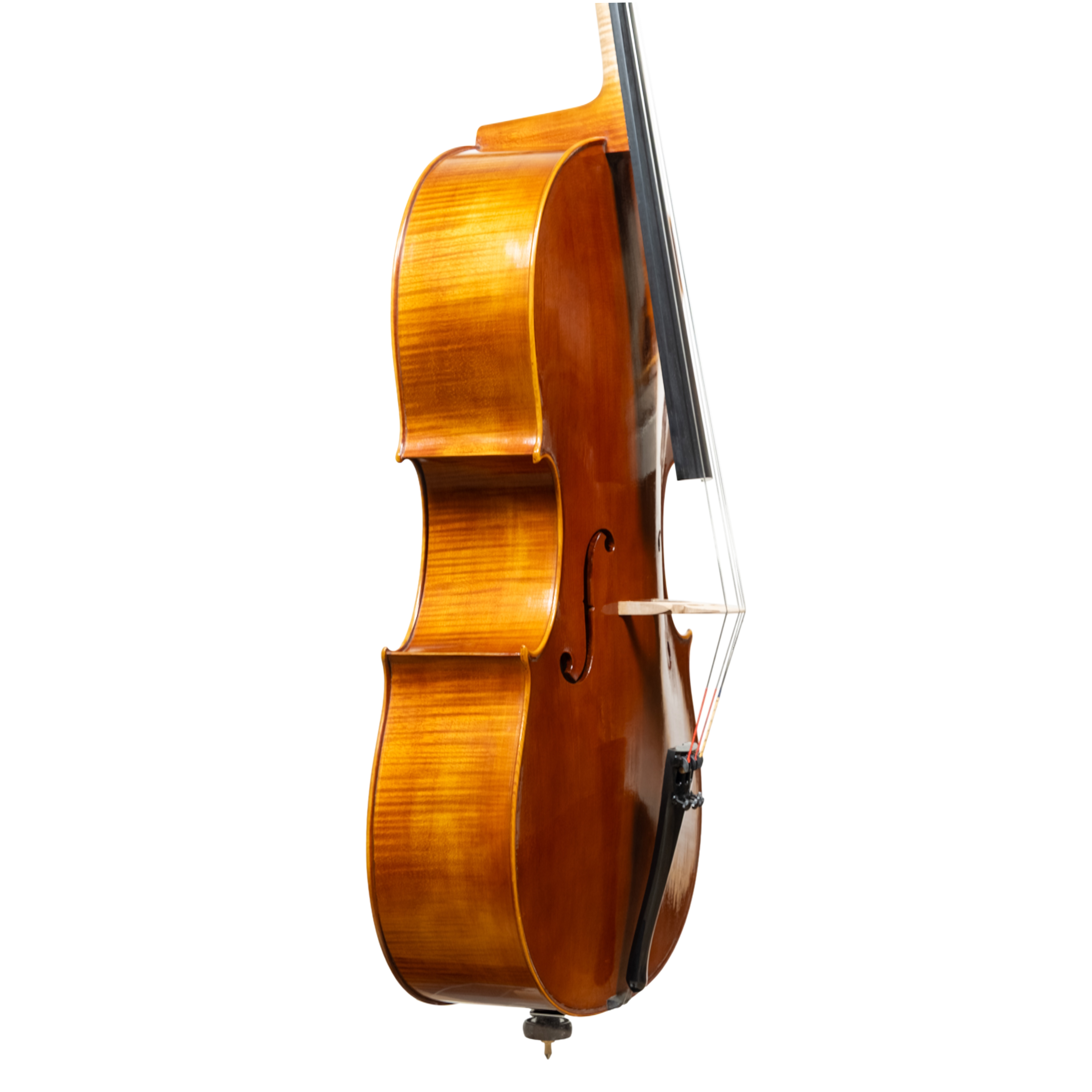 Cello - Linea Macchi, Domenico Montagnana "Sleeping Beauty", Cremona 2026