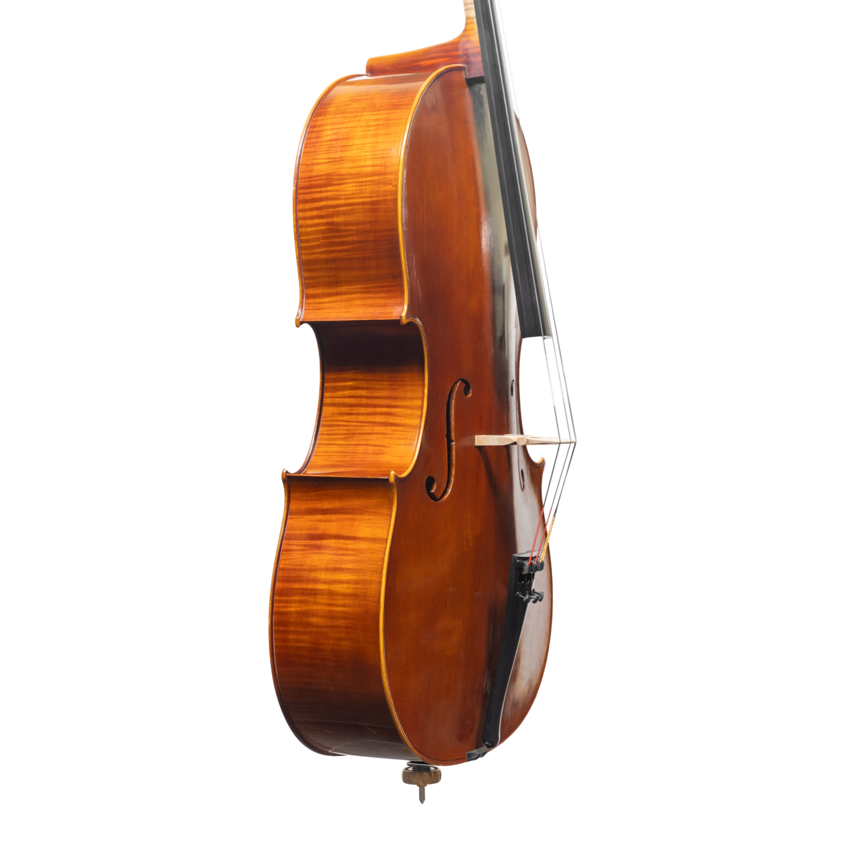 Cello - Linea Macchi, Domenico Montagnana "Sleeping Beauty", Cremona 2025 (1)