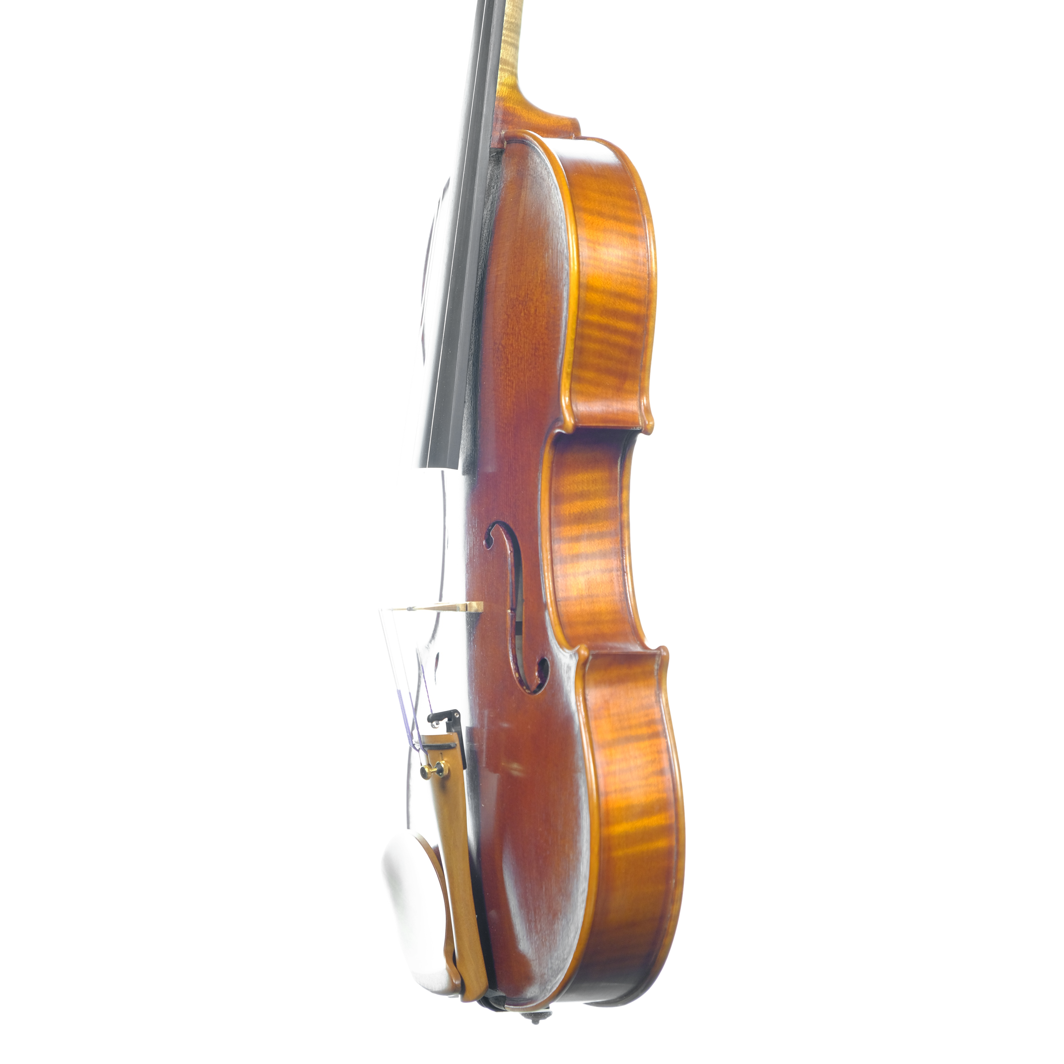 Violin - Linea Macchi, Stradivari Cremona 2024 A