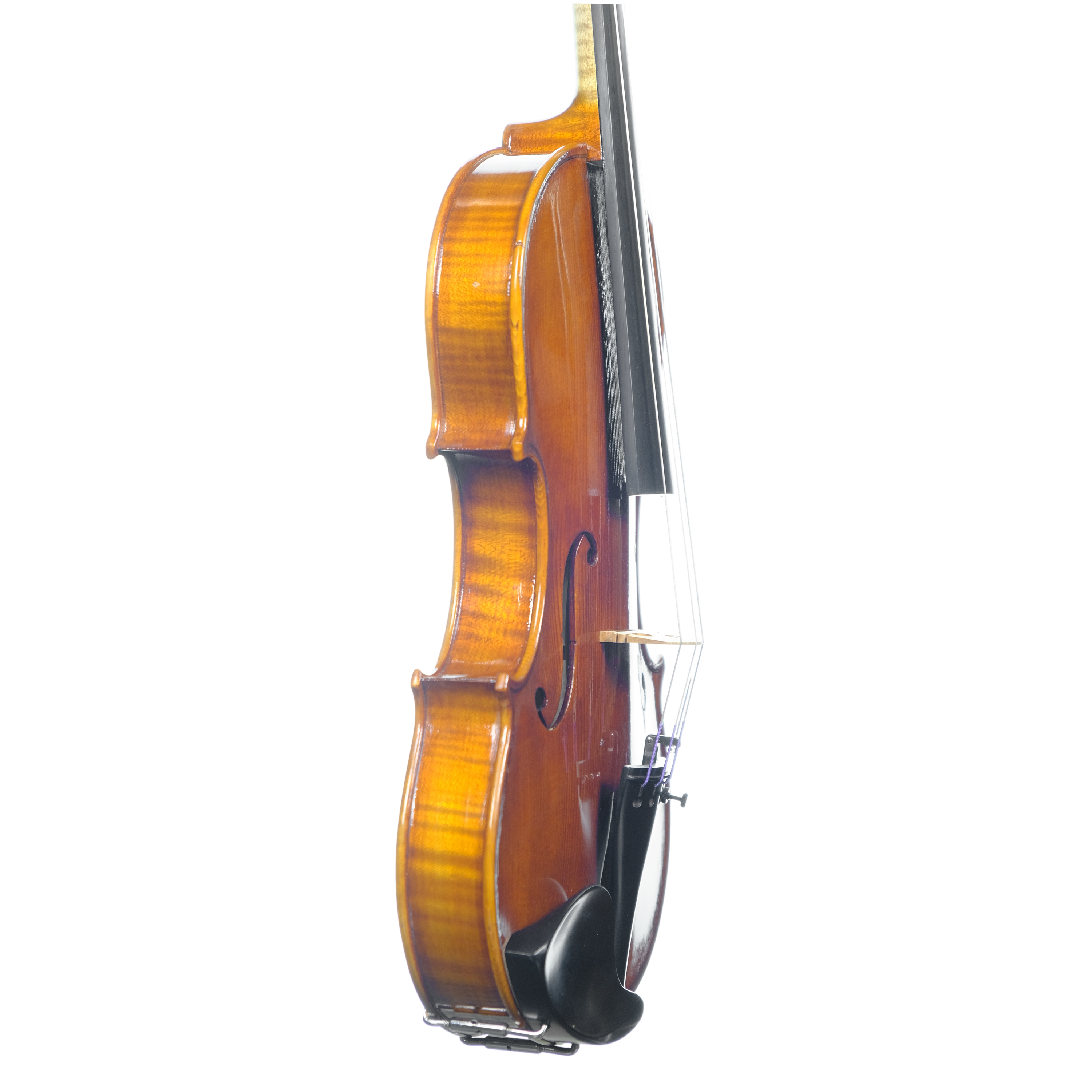 Violin - Scala Perfetta, Guarneri, Cremona 2024 E