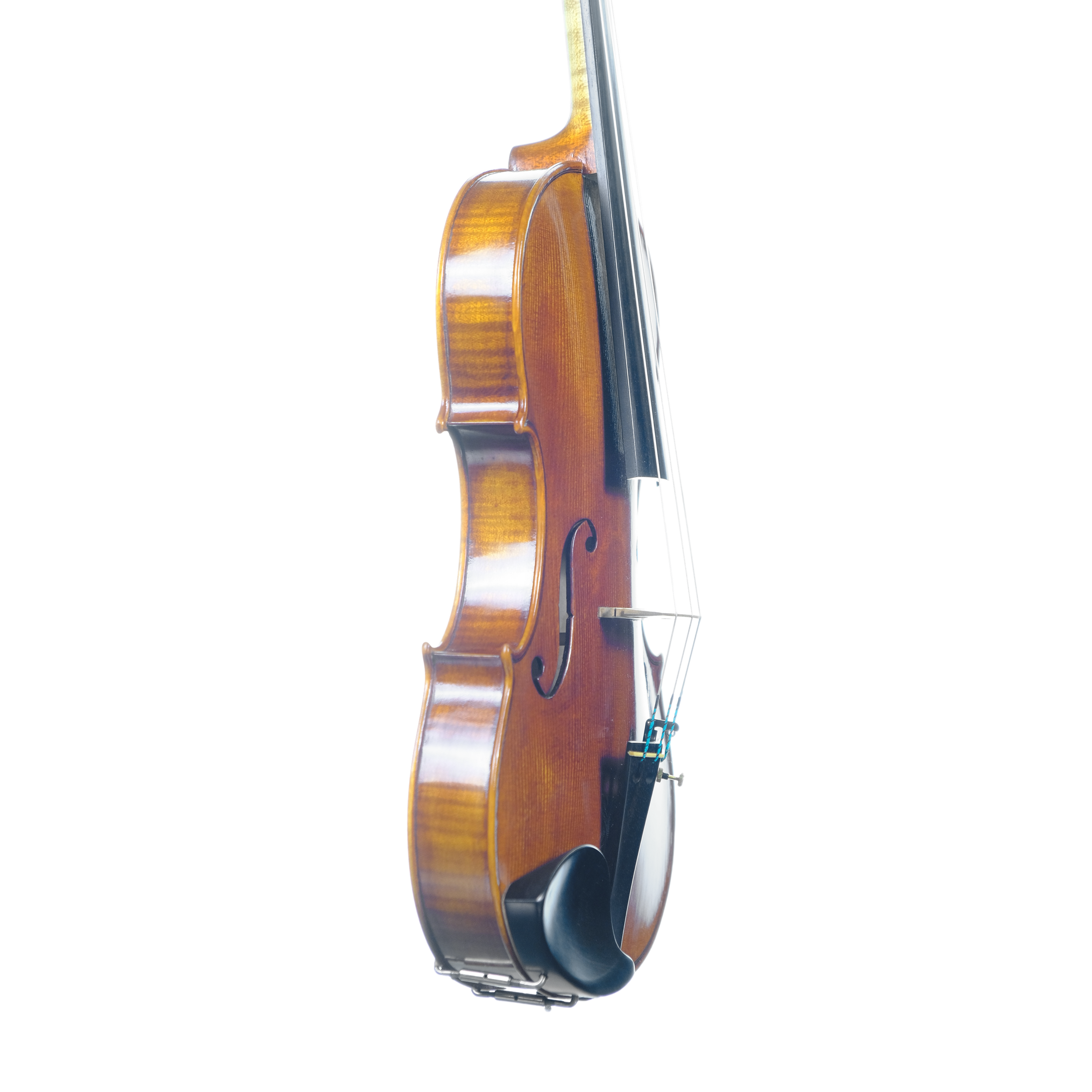 Violin - Enrico Bertoncini, Guarneri, Cremona 2024