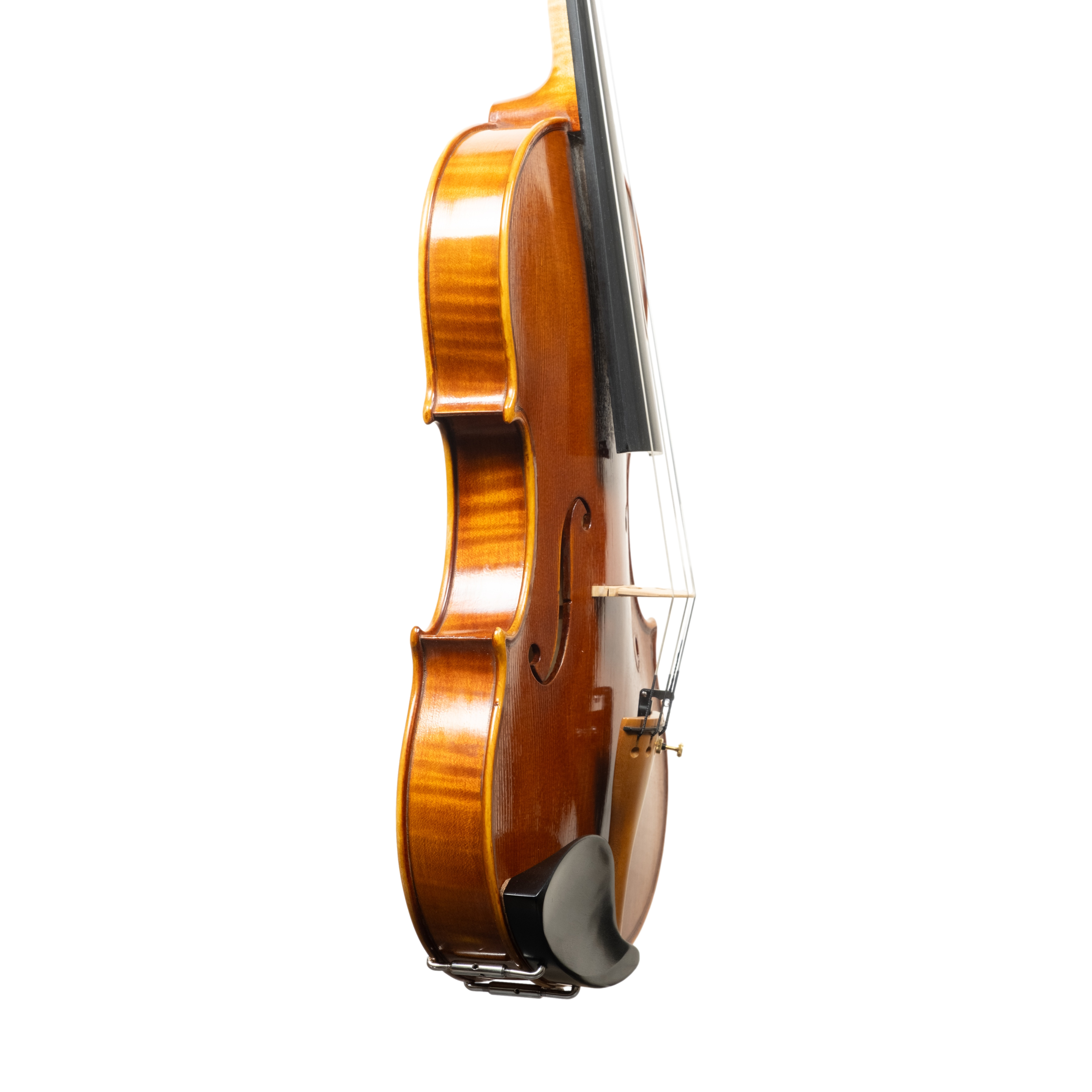 Violin - Linea Macchi, Guarneri "Cannone" 2026 Adige
