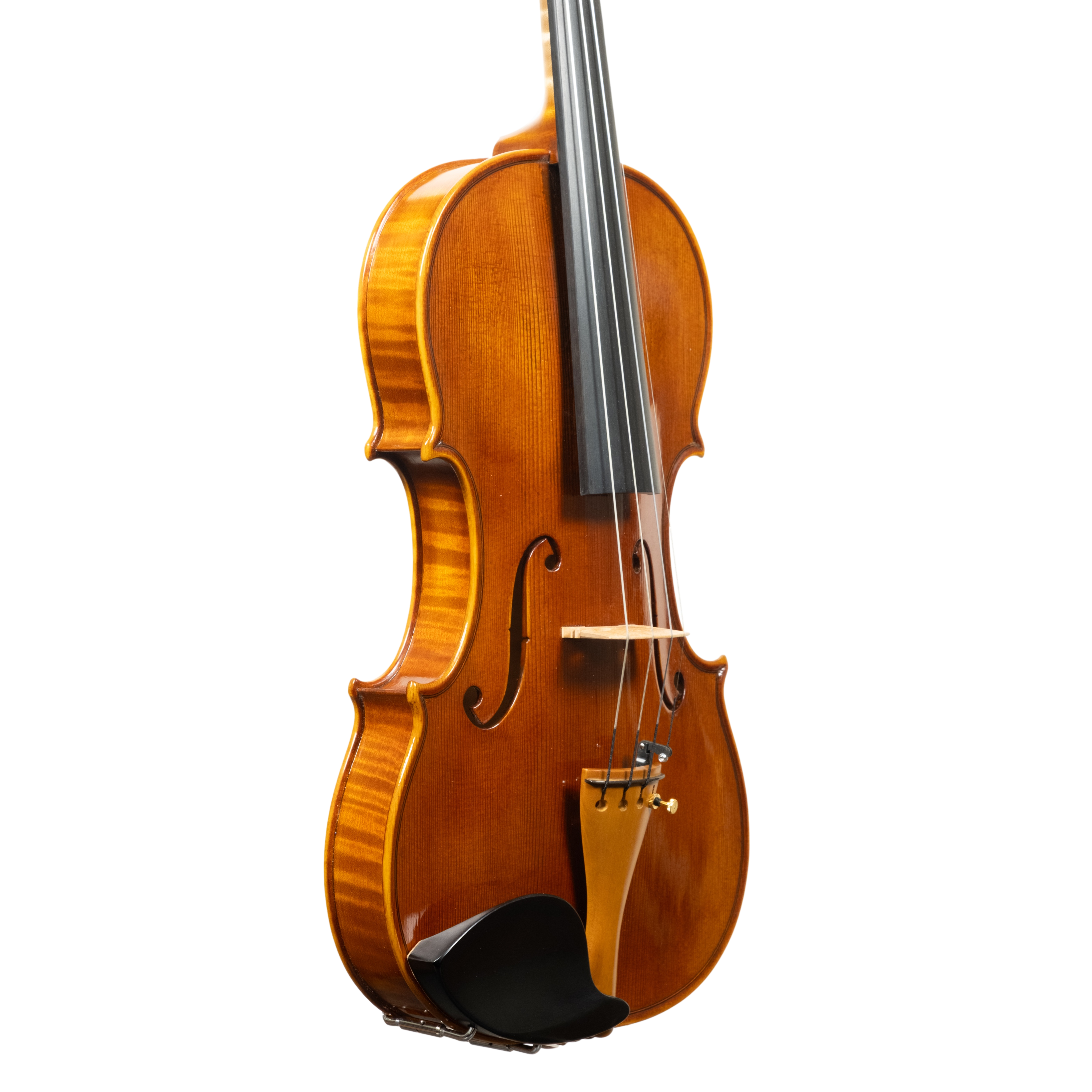 Violin - Linea Macchi, Guarneri "Lord Wilton" 2026 Fersina