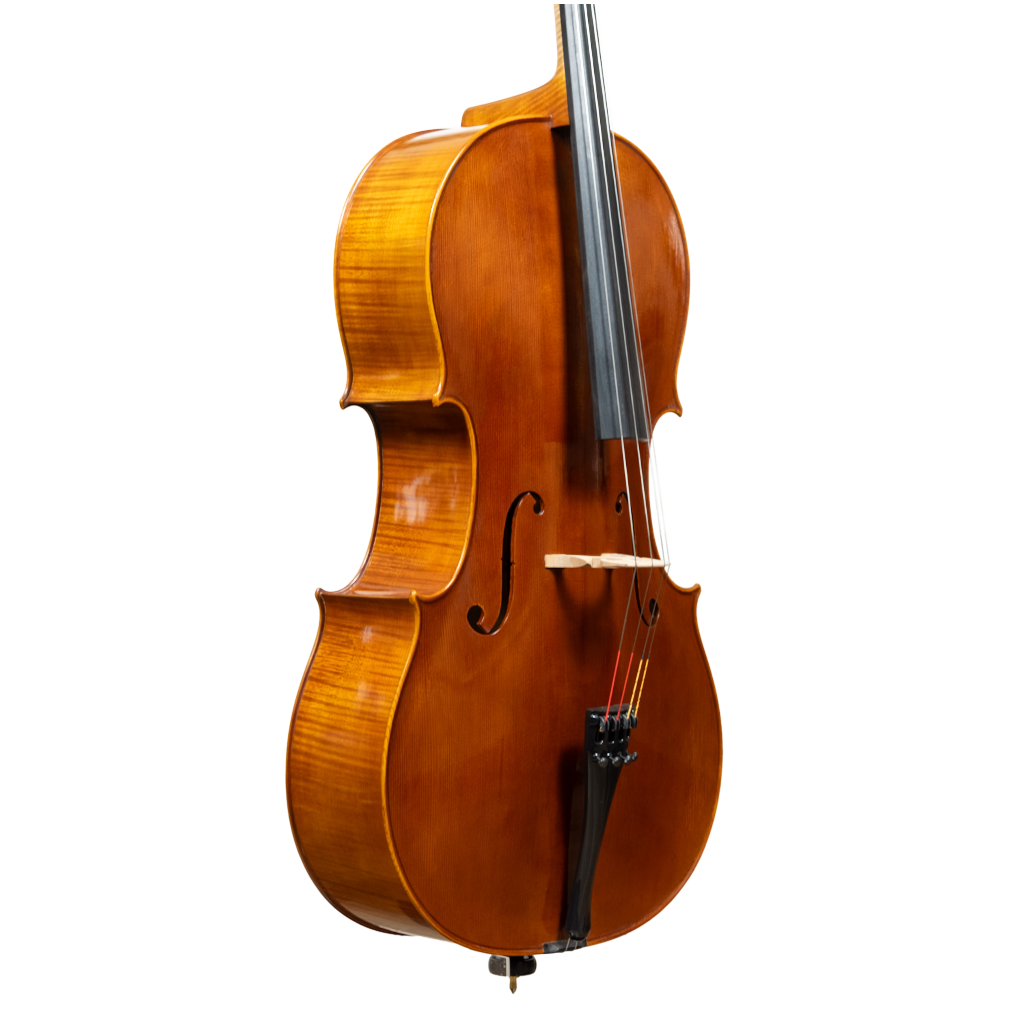 Cello - Linea Macchi, Stradivari "Gore Booth", Cremona 2026