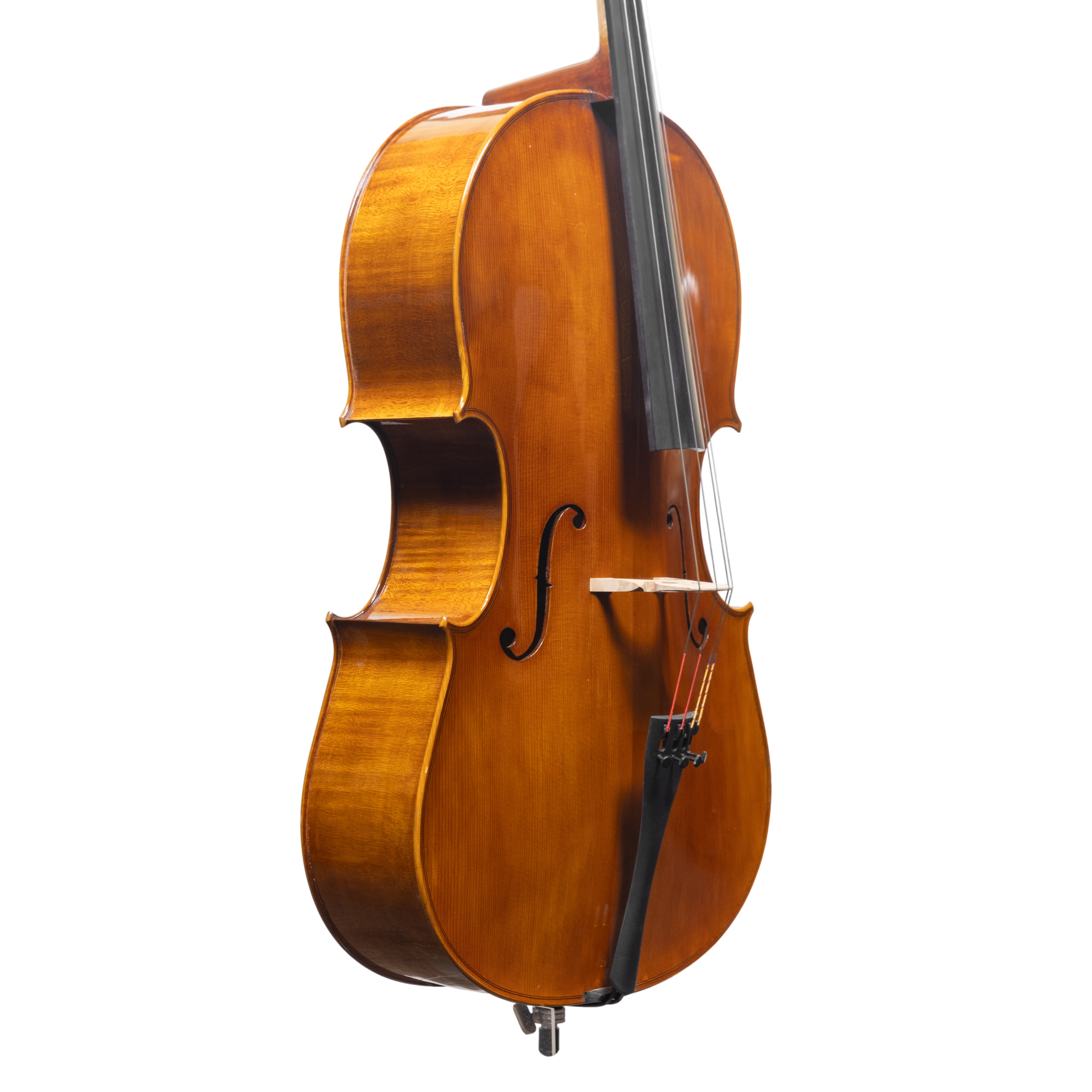 Cello - Scala Perfetta, Montagnana, Cremona 2025 "CERVATI"