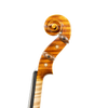 Violin - Linea Macchi, Stradivari Cremona 2025 B