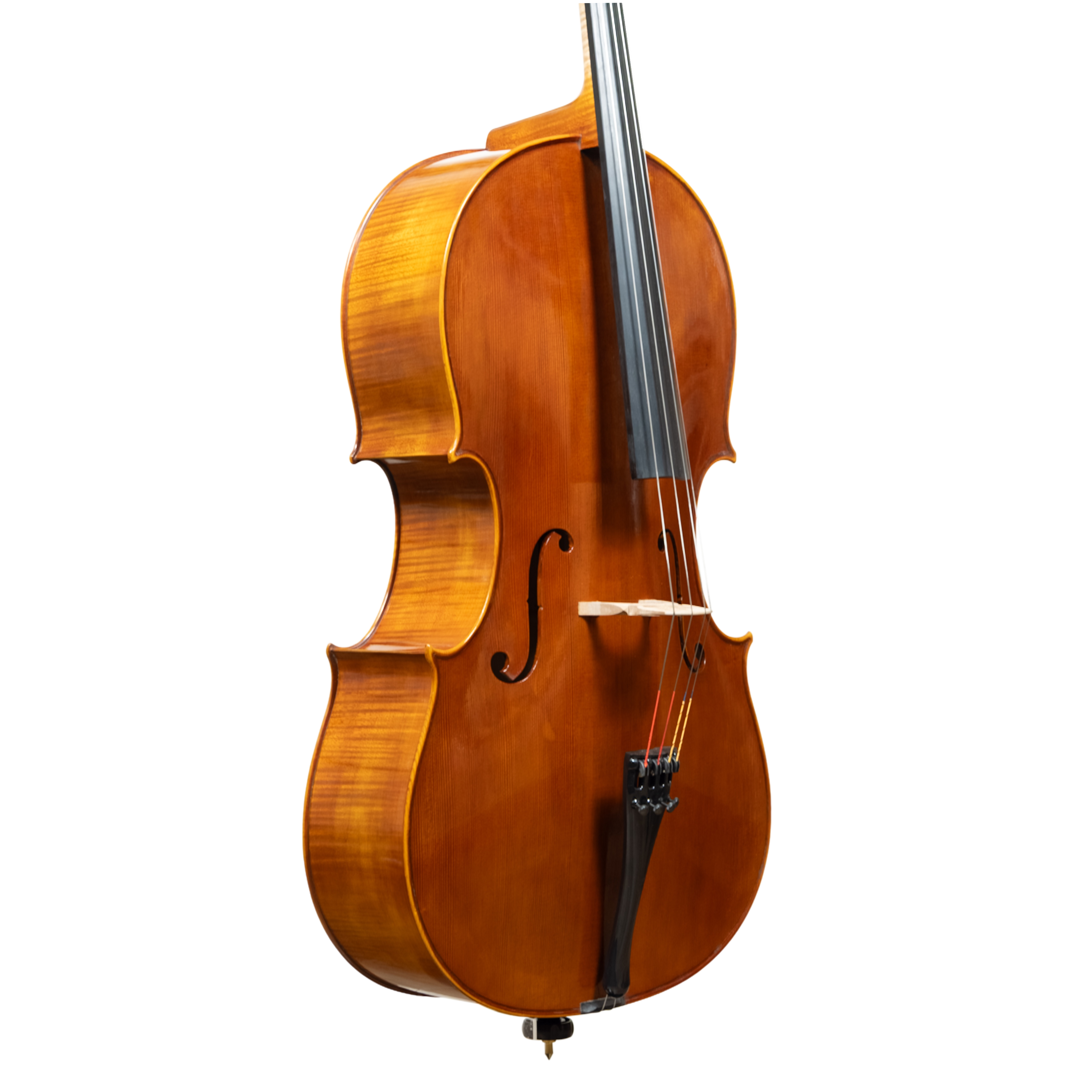Cello - Linea Macchi, Domenico Montagnana "Sleeping Beauty", Cremona 2026