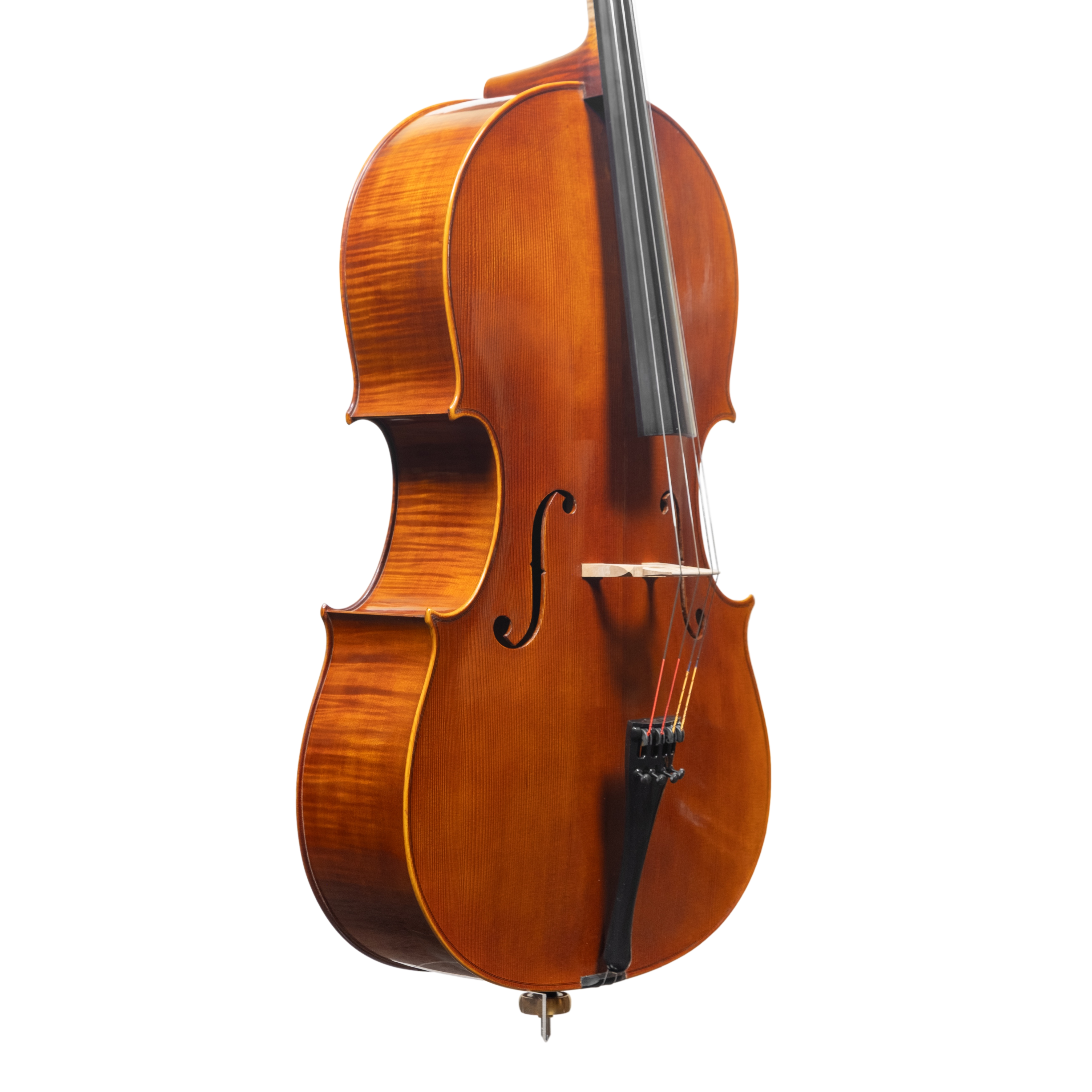 Cello - Linea Macchi, Domenico Montagnana "Sleeping Beauty", Cremona 2025 (1)