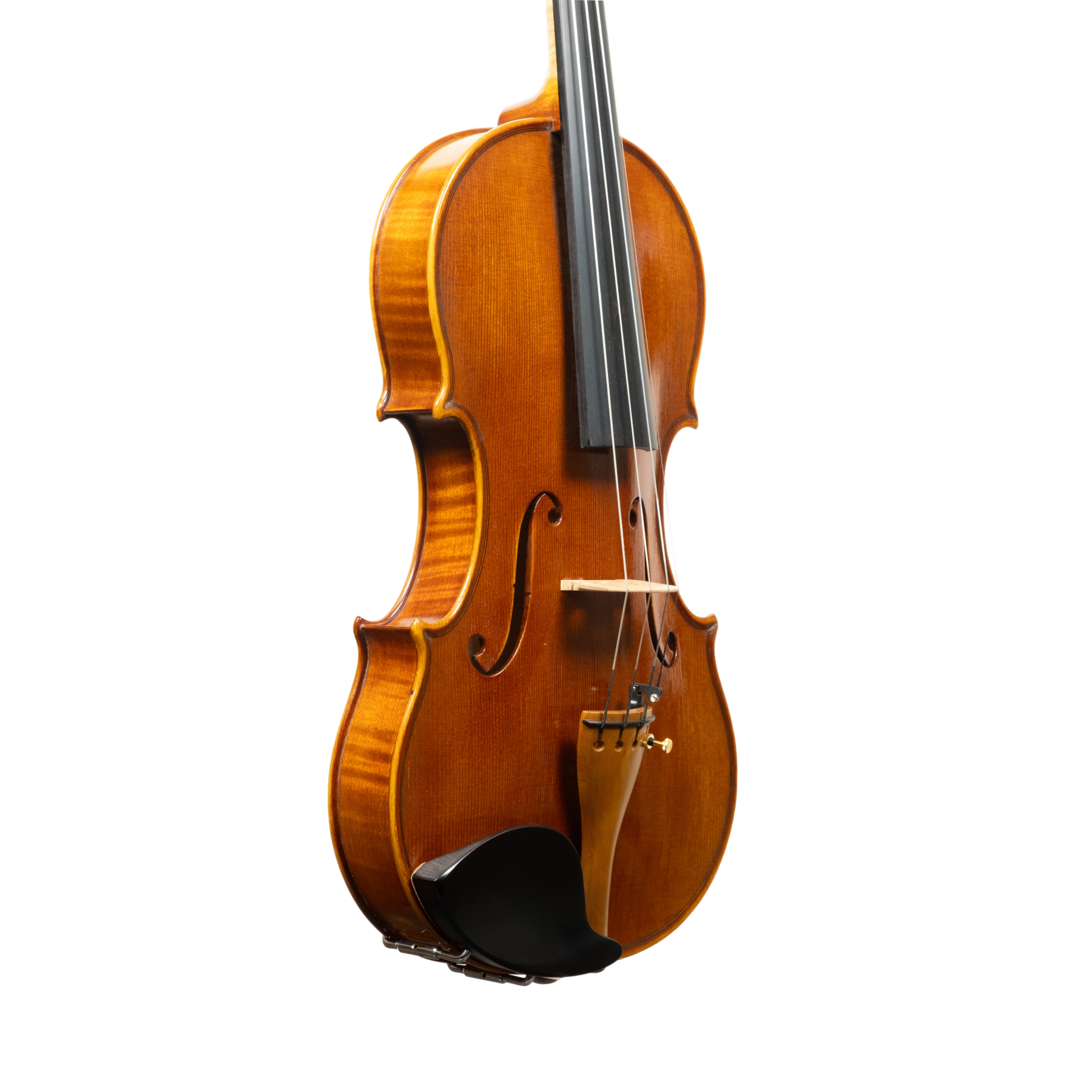 Violin - Linea Macchi, Guarneri "Cannone" 2026 Adige