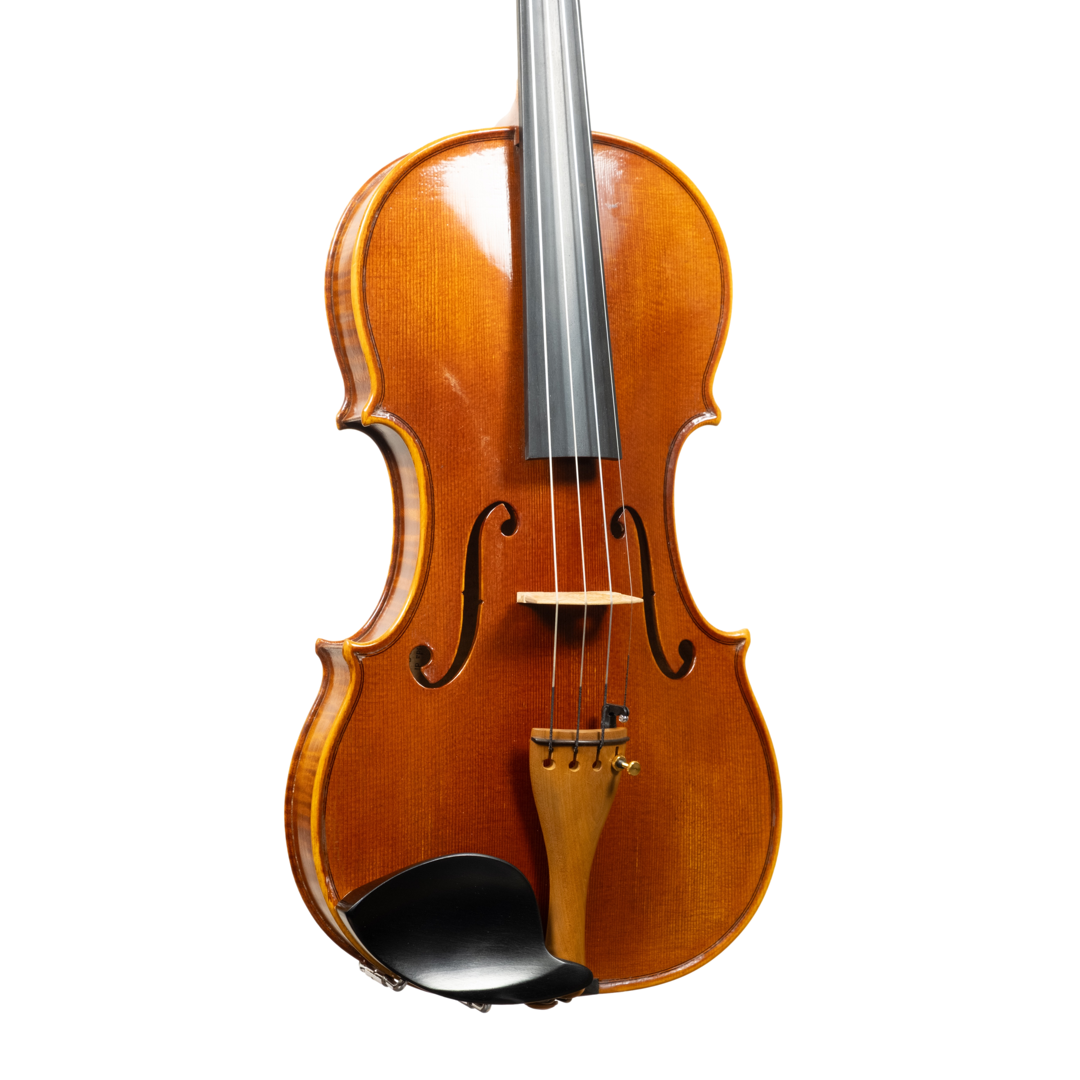 Violin - Linea Macchi, Guarneri "Lord Wilton" 2026 Avisio