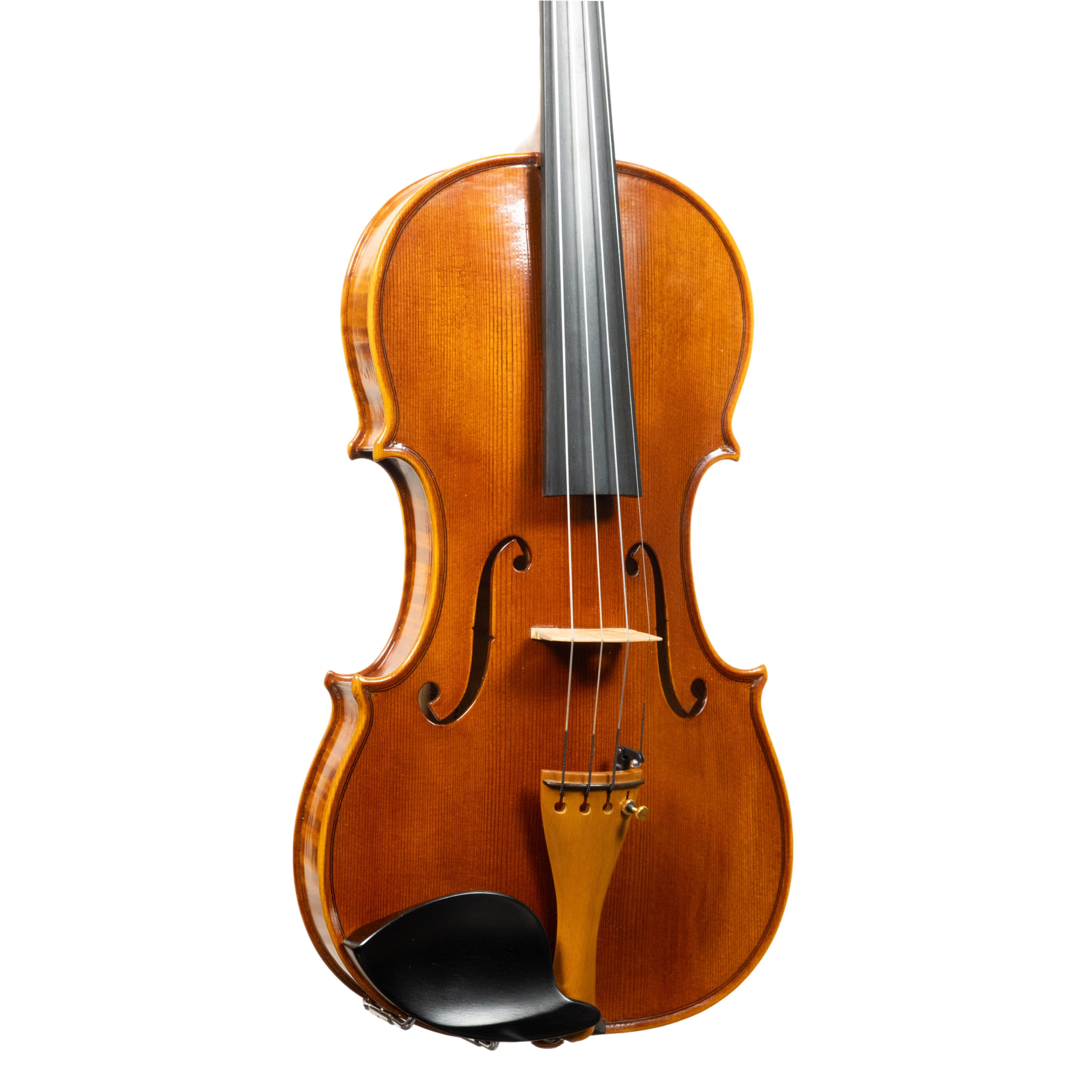 Violin - Linea Macchi, Guarneri "Lord Wilton" 2026 Fersina