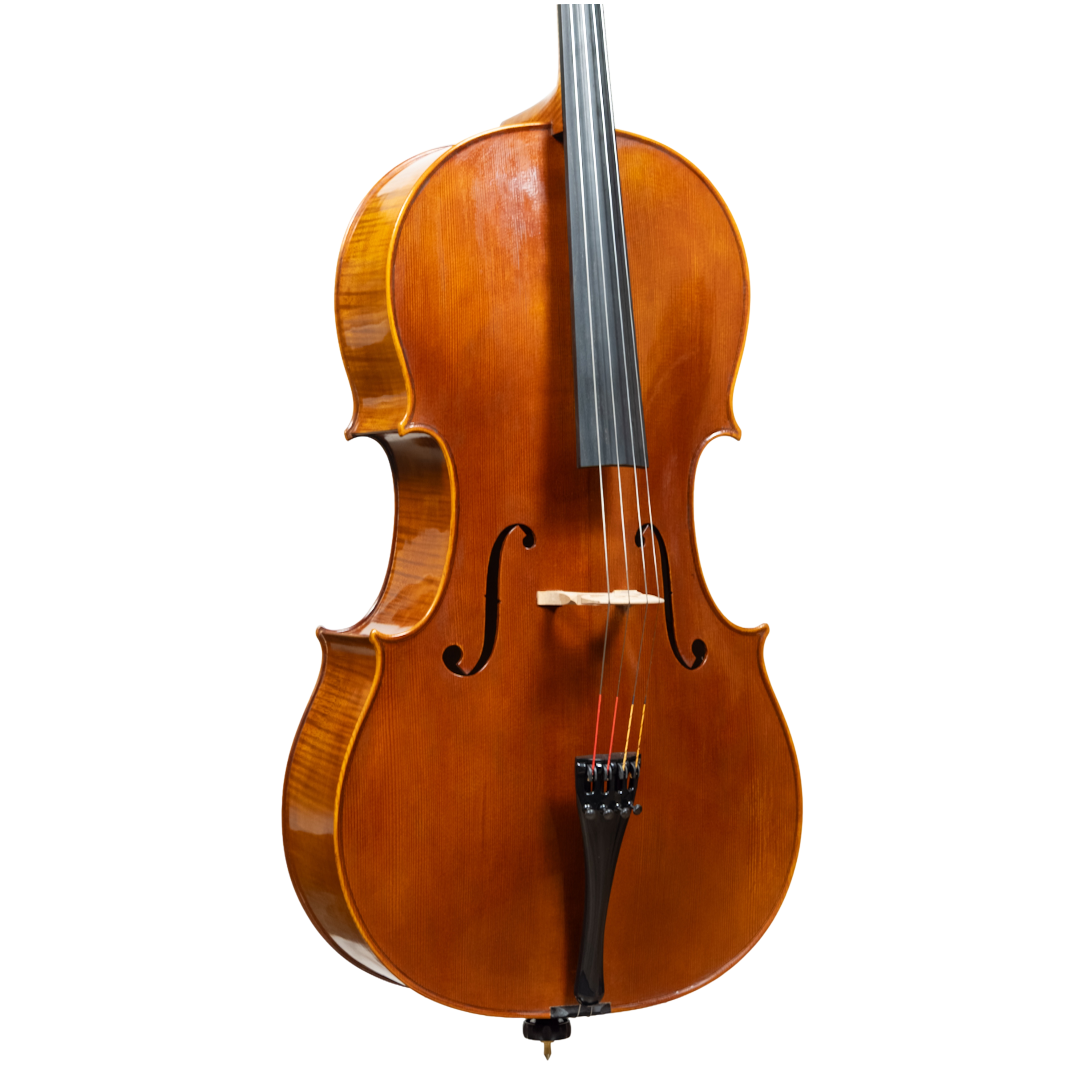 Cello - Linea Macchi, Stradivari "Gore Booth", Cremona 2026