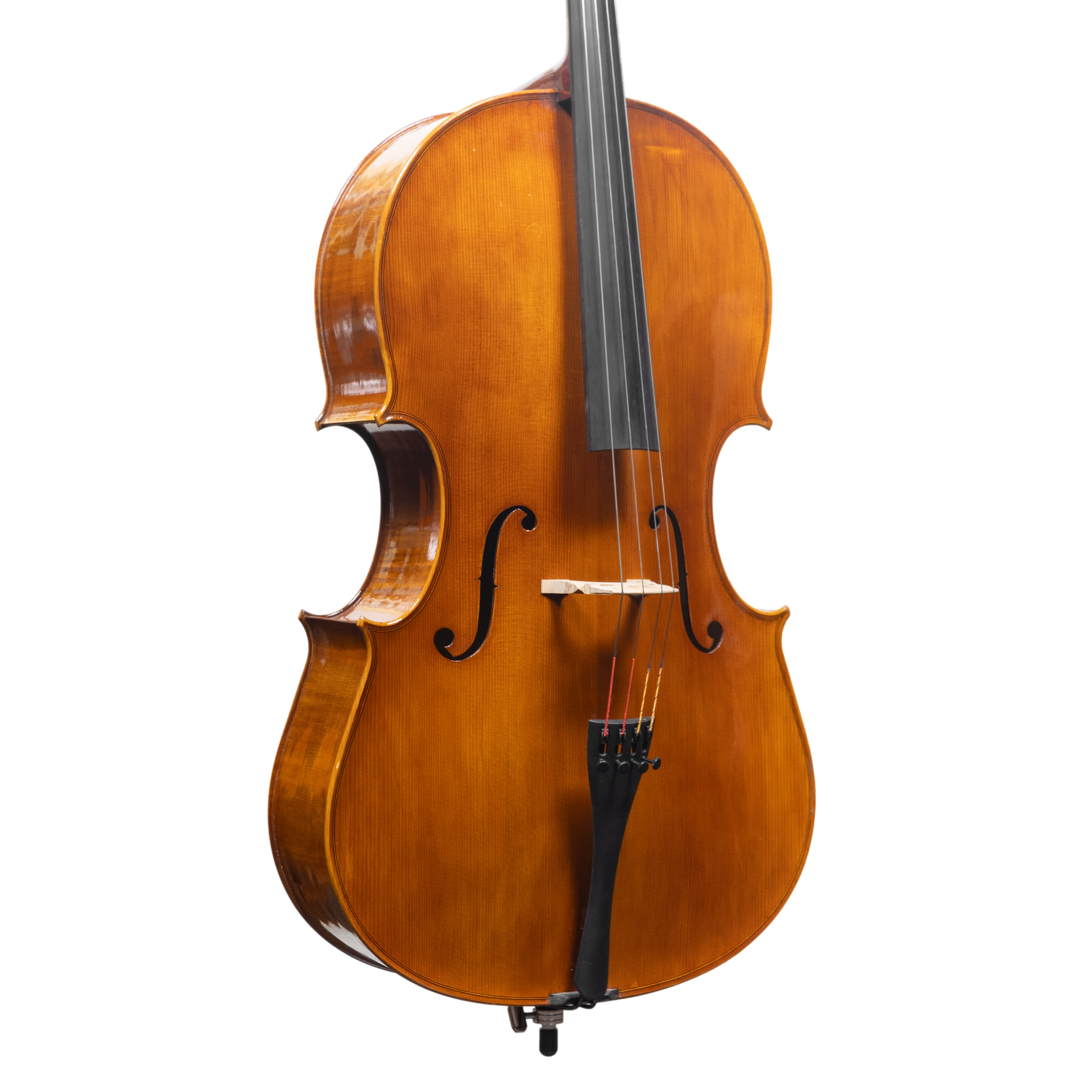 Cello - Scala Perfetta, Montagnana, Cremona 2025 "CERVATI"