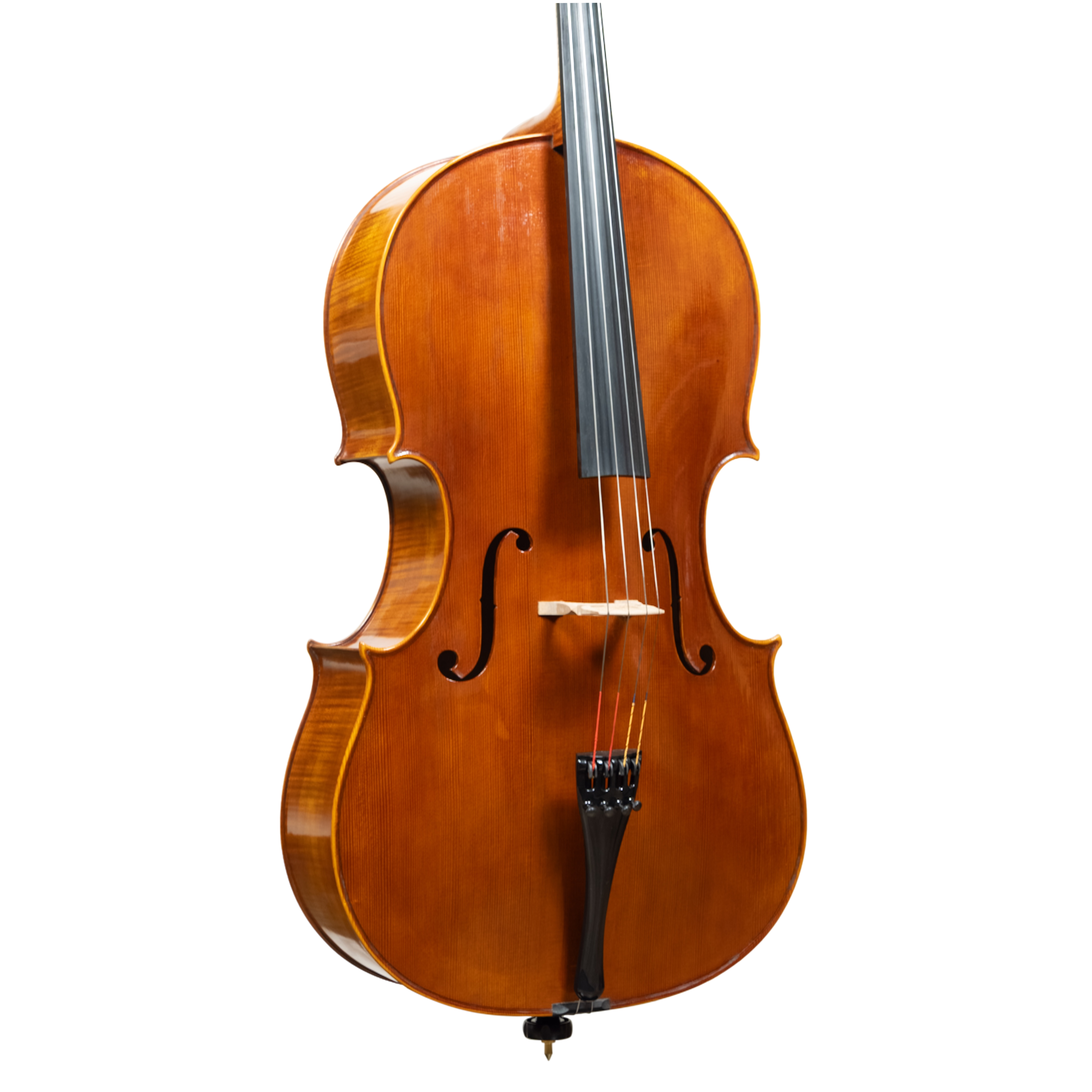 Cello - Linea Macchi, Domenico Montagnana "Sleeping Beauty", Cremona 2026
