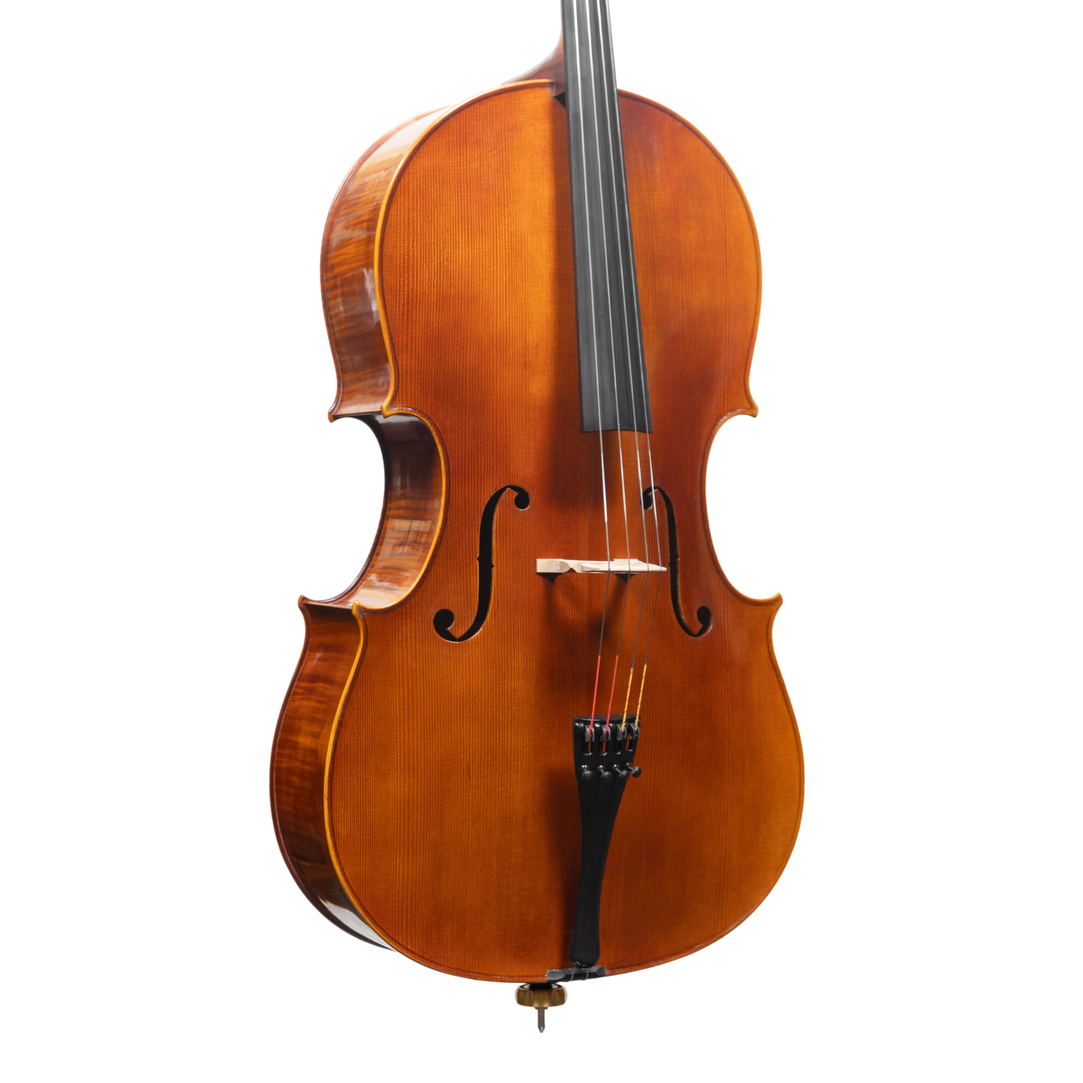 Cello - Linea Macchi, Domenico Montagnana "Sleeping Beauty", Cremona 2025 (1)