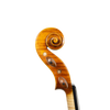 Violin - Linea Macchi, Guarneri "Lord Wilton" 2026 Avisio
