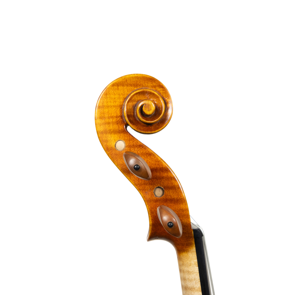 Violin - Linea Macchi, Guarneri "Lord Wilton" 2026 Avisio
