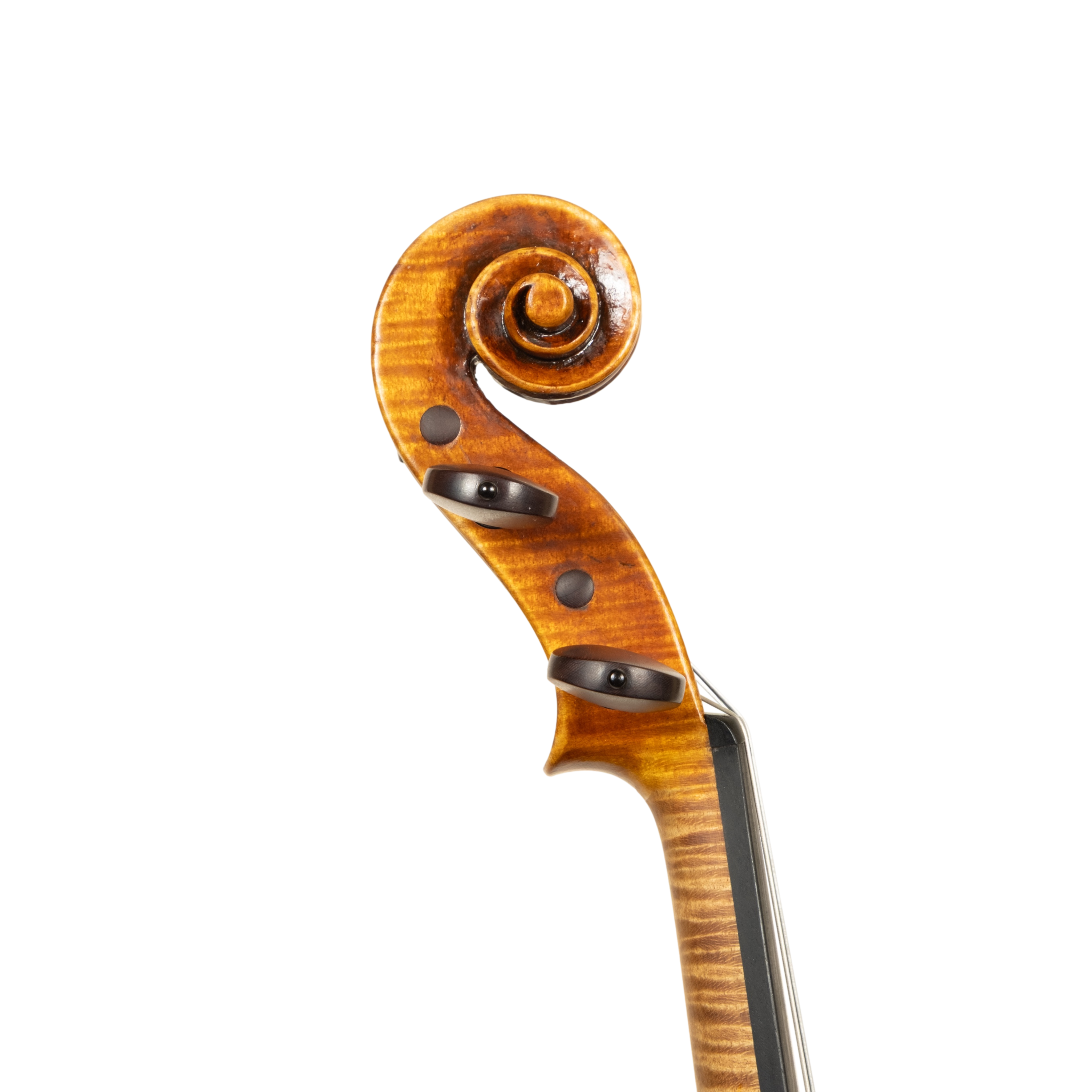 Violin - Alessandro Merloni, Stradivari, Ancona 2020