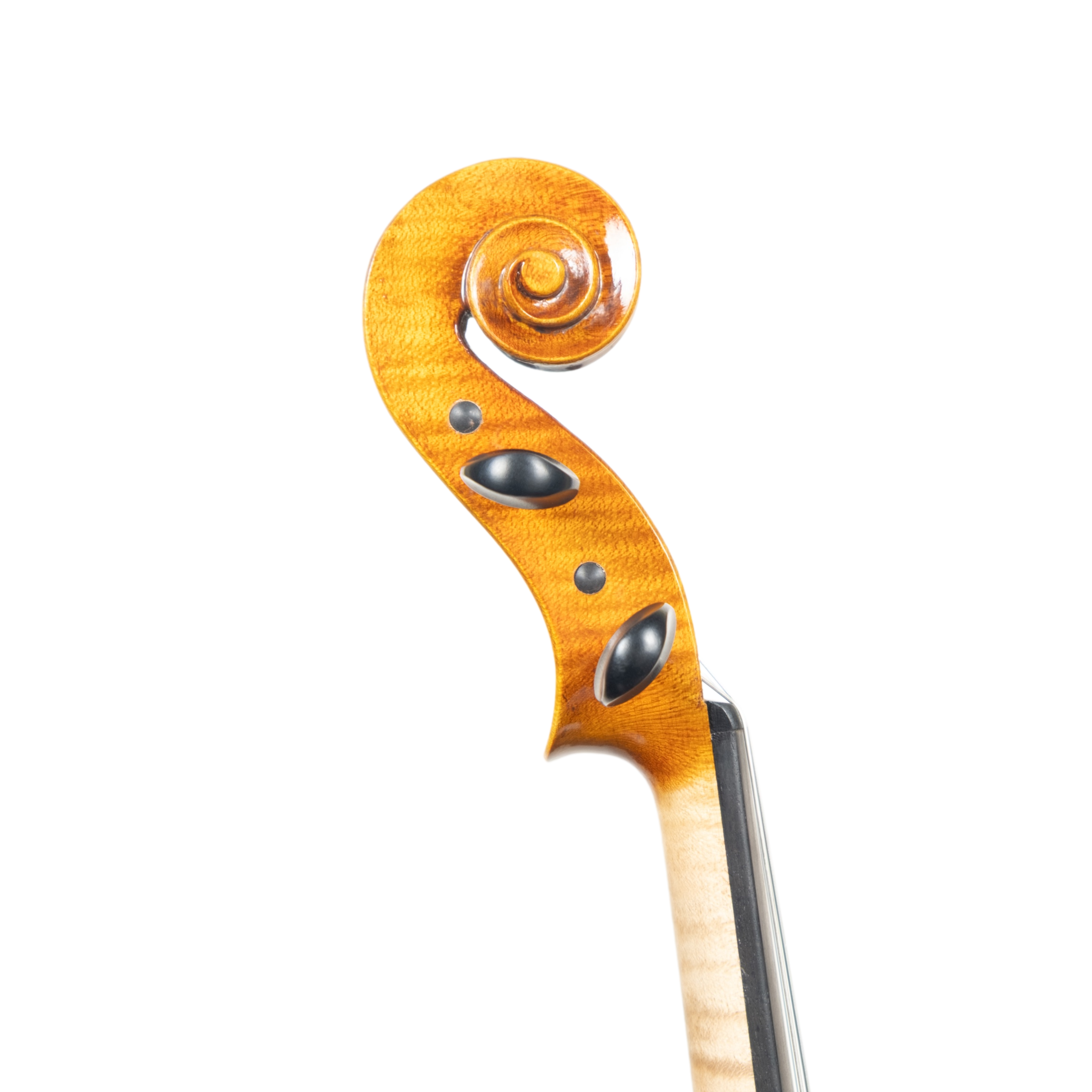 Viola 40,5 cm - Scala Perfetta,  Cremona 2025 "San Vicino"