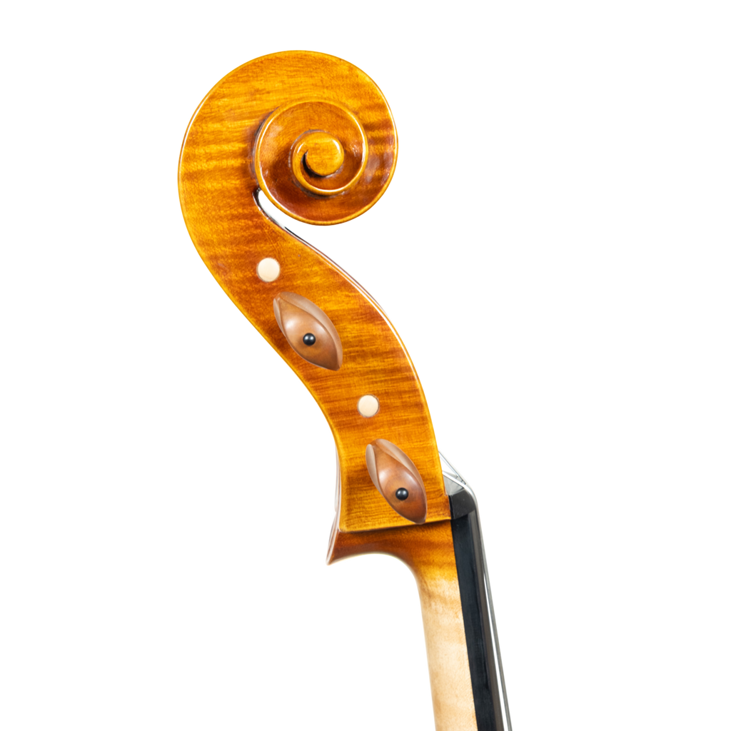 Cello - Linea Macchi, Domenico Montagnana "Sleeping Beauty", Cremona 2026