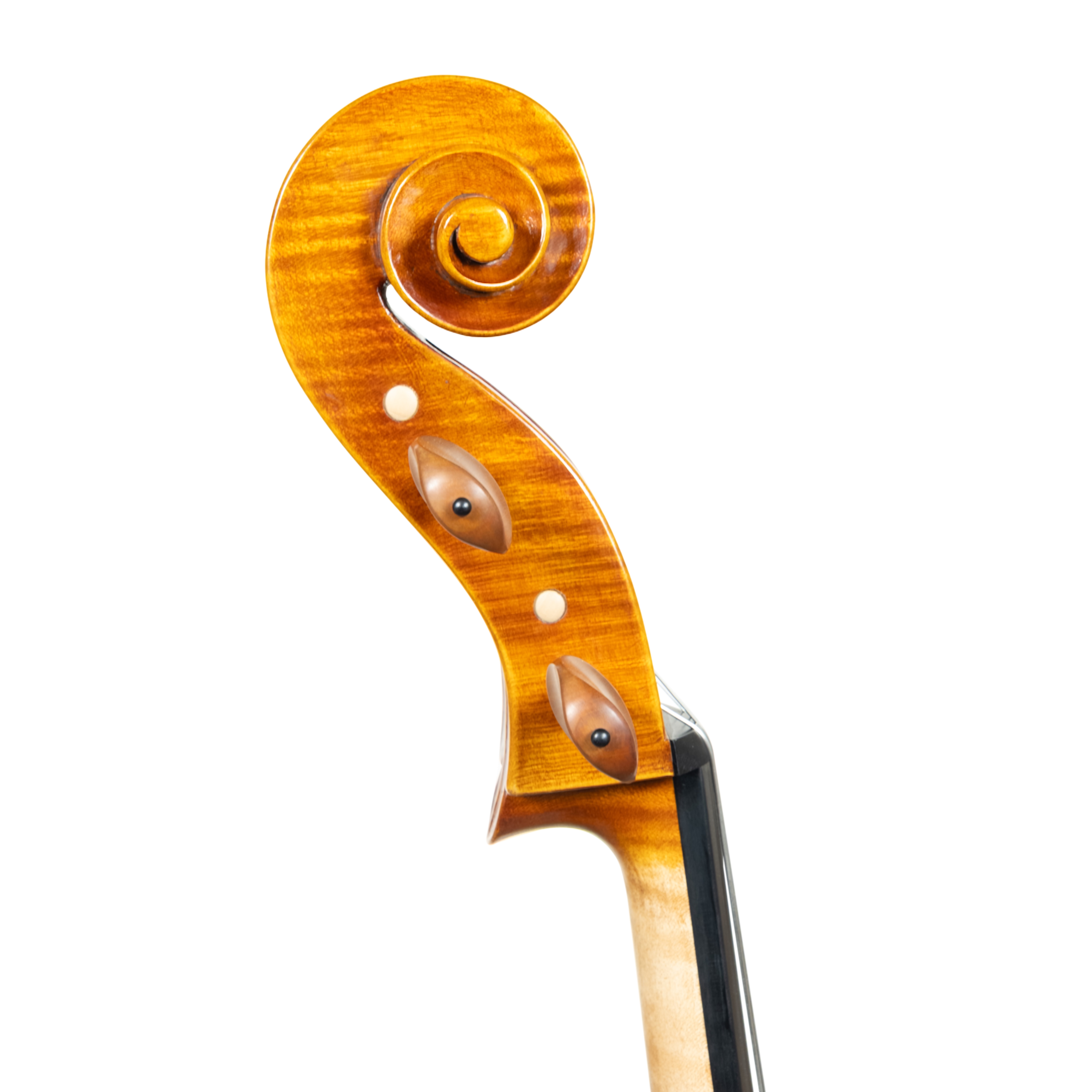 Cello - Linea Macchi, Domenico Montagnana "Sleeping Beauty", Cremona 2026