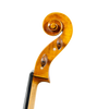 Cello - Linea Macchi, Stradivari "Gore Booth", Cremona 2026