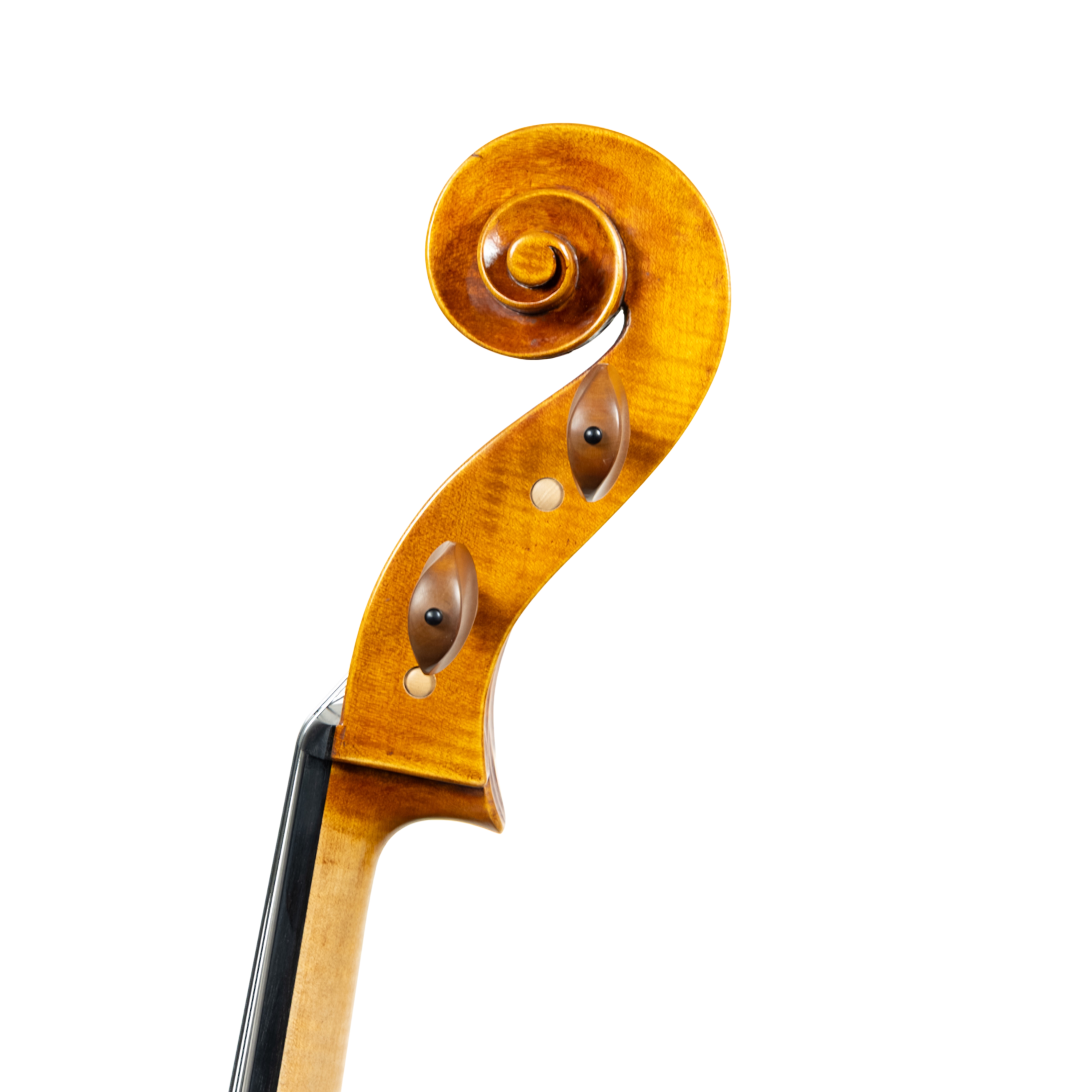 Cello - Linea Macchi, Stradivari "Gore Booth", Cremona 2026