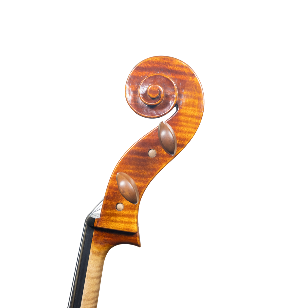 Cello - Linea Macchi, Domenico Montagnana "Sleeping Beauty", Cremona 2025 (1)