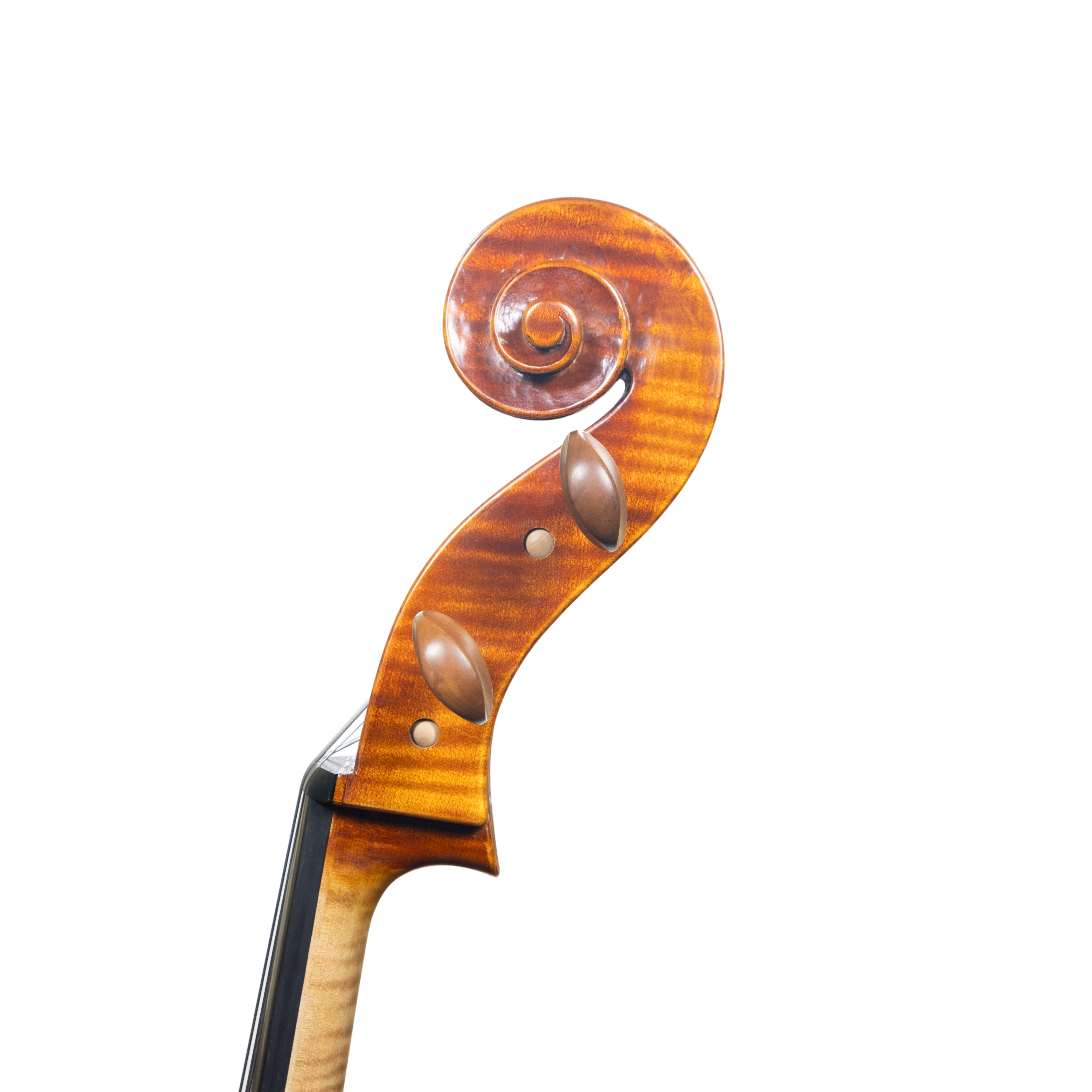 Cello - Linea Macchi, Domenico Montagnana "Sleeping Beauty", Cremona 2025 (1)