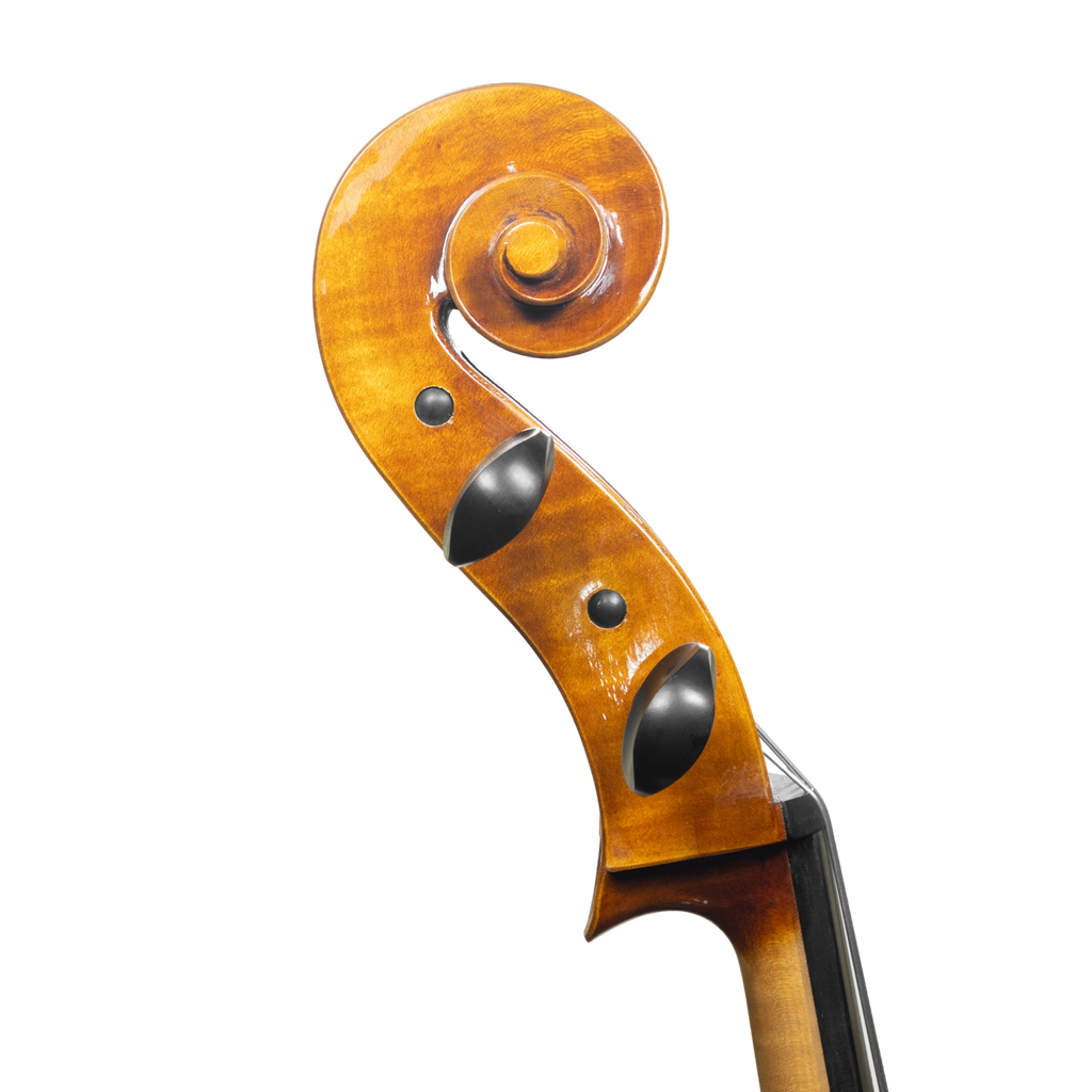 Cello - Scala Perfetta, Montagnana, Cremona 2025 "CERVATI"