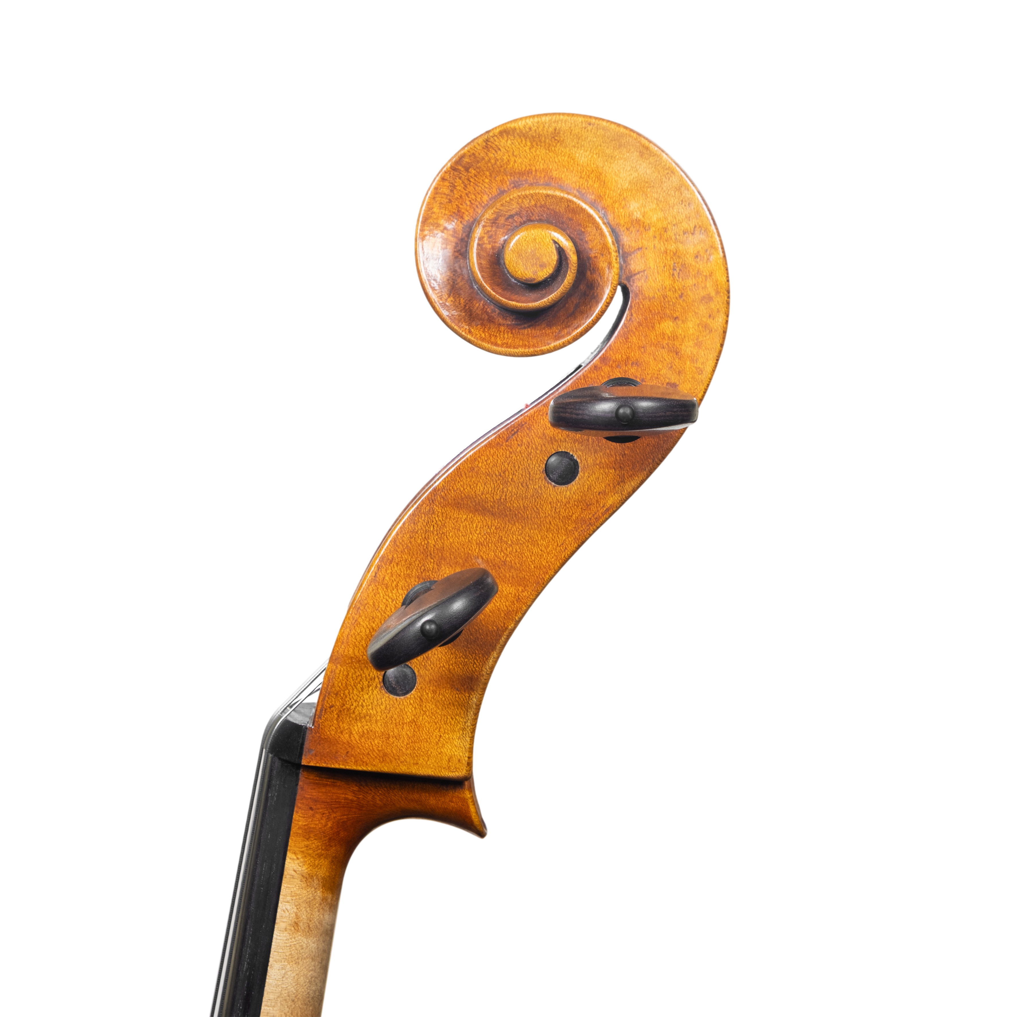 Cello - Stefano Guerreschi, mod. Stradivari "Gore Booth", Cremona 2025