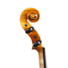 Violin - Scala Perfetta, Stradivari, Cremona 2025 "Amiata"