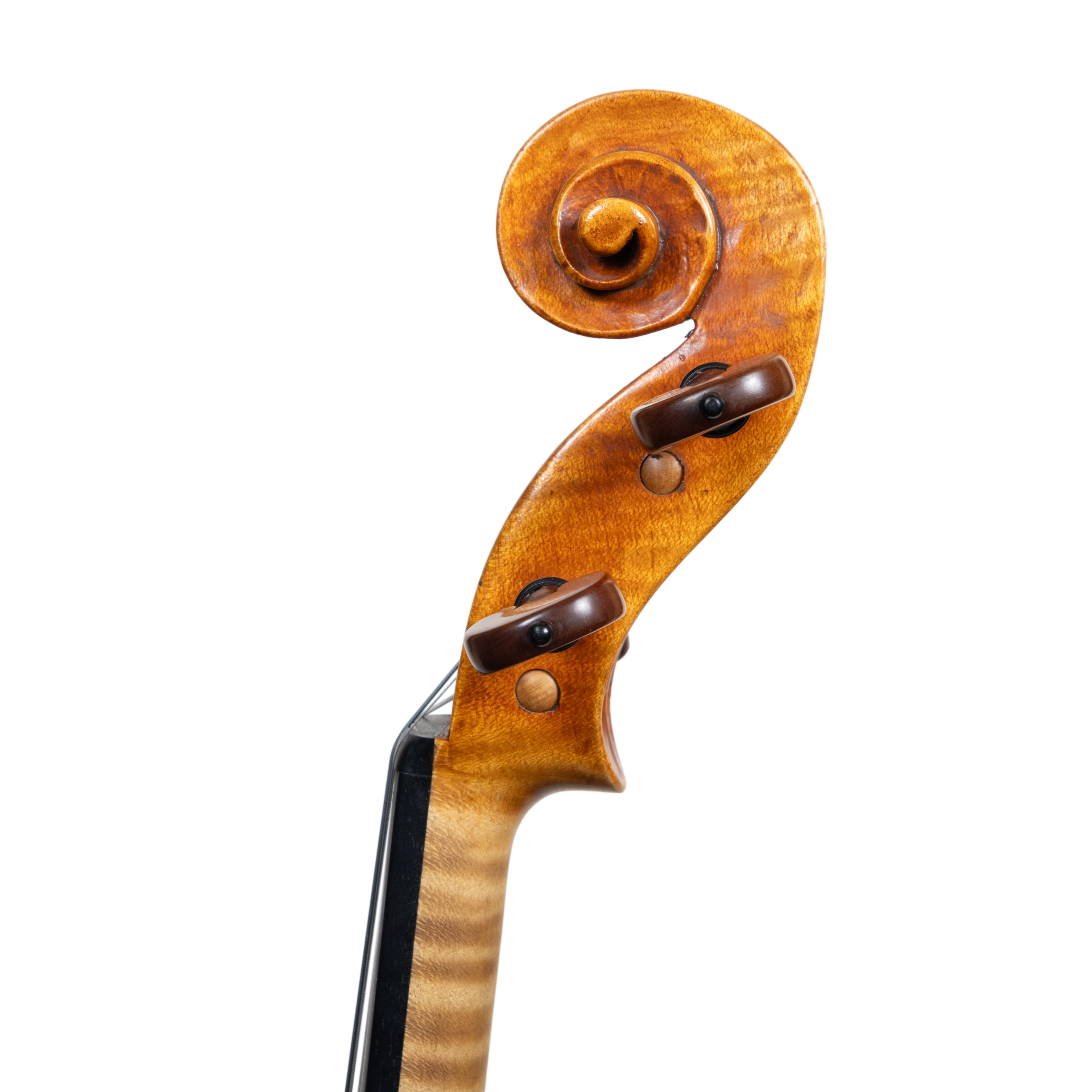 Violin - Edgar Russ, Guarneri del Gesú "Ole Bull",  Cremona 2025