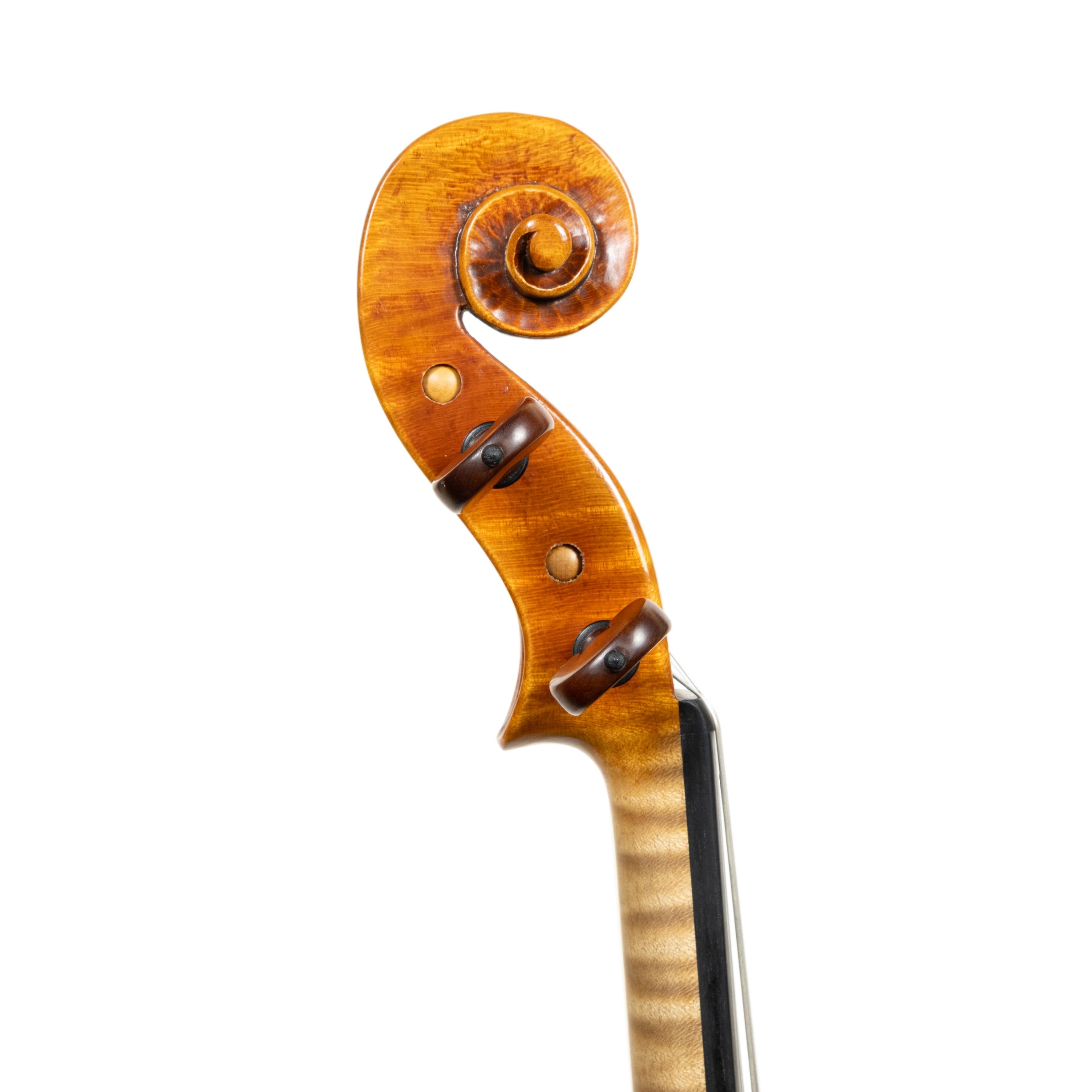 Violin - Marco Dotti, copy of Guarneri del Gesù "Sainton", Cremona 2025