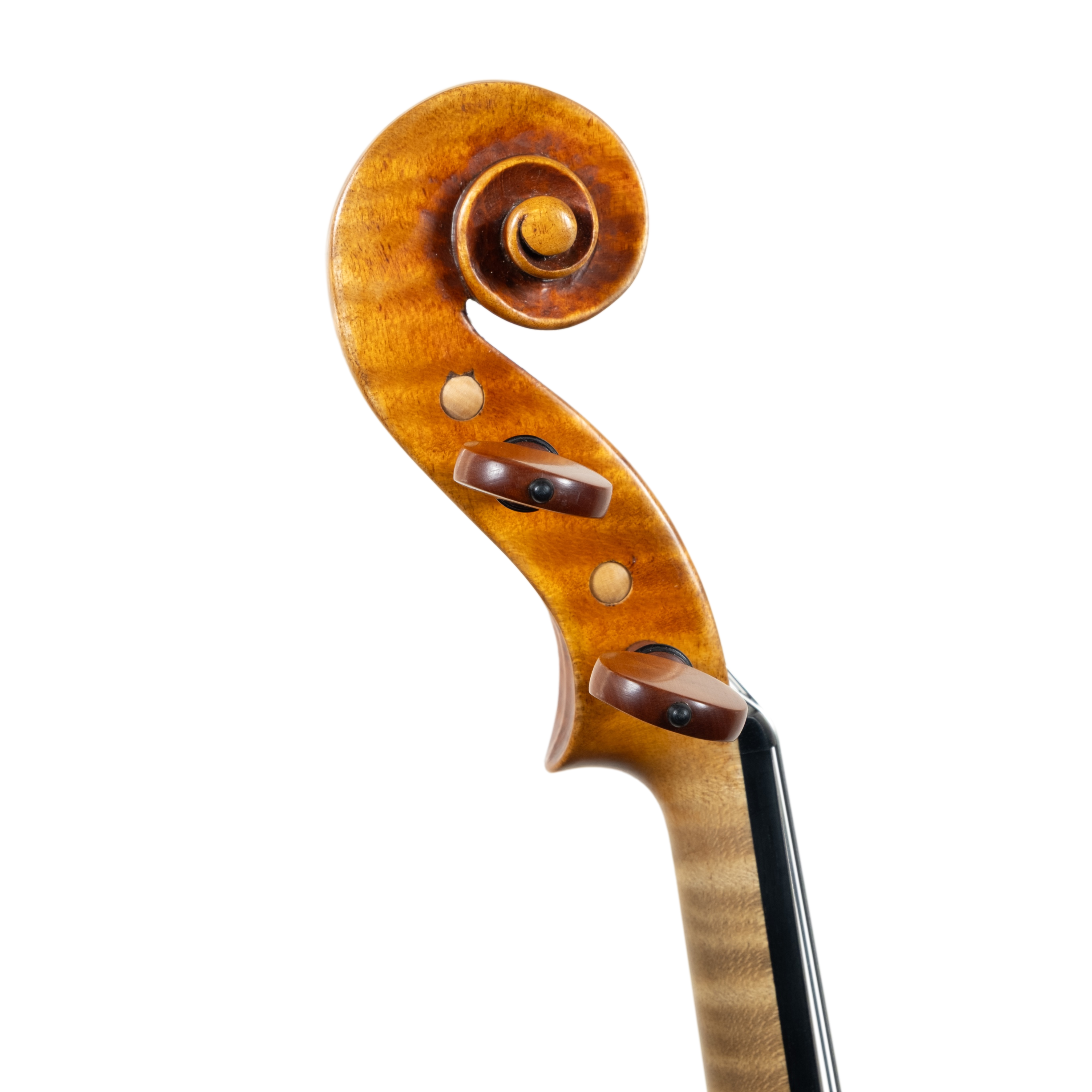 Violin - Mina Mazzolari, Copy of Guarneri del Gesú "Heifetz", Cremona 2026