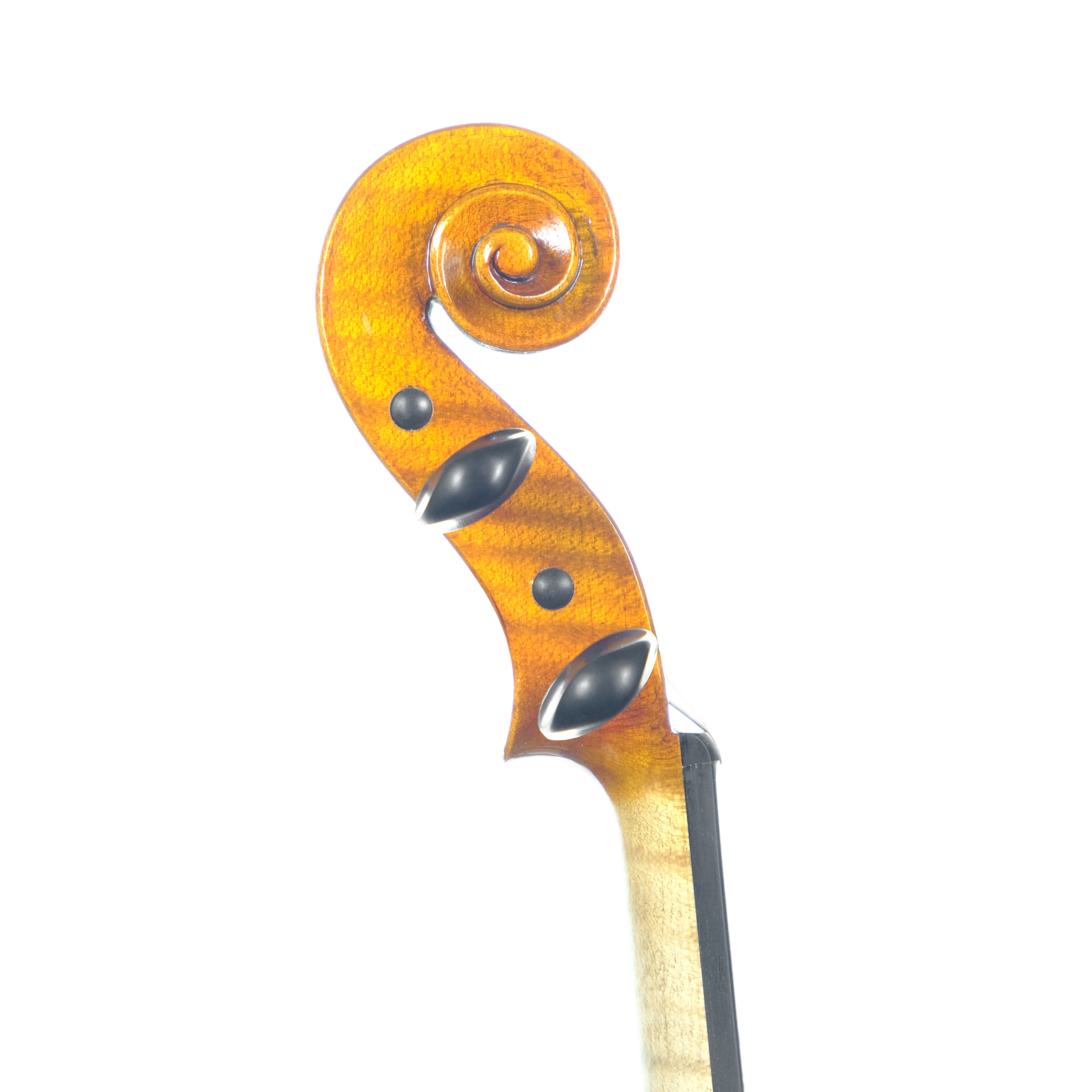 Violin - Scala Perfetta, Guarneri, Cremona 2024 E