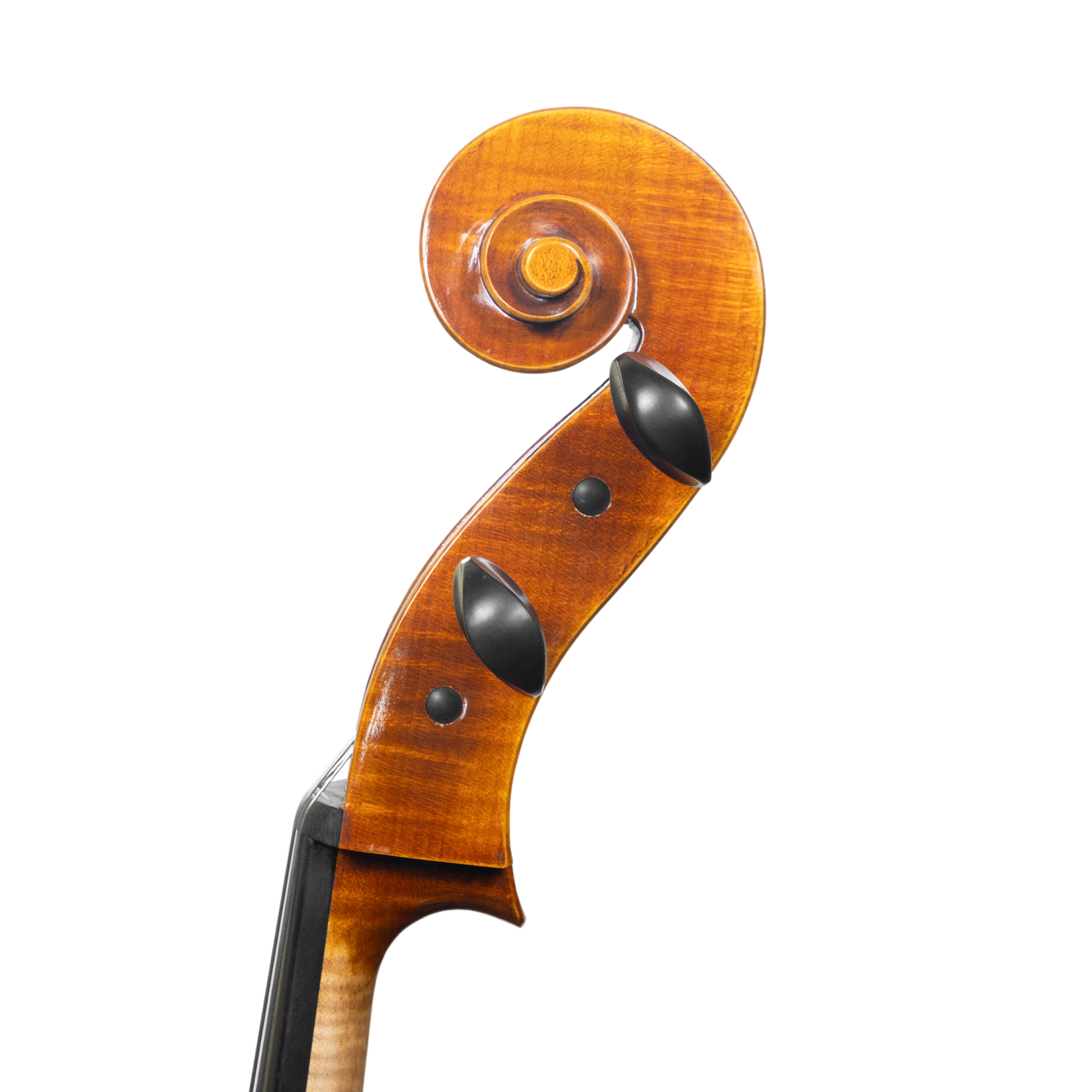 Cello - Scala Perfetta, Montagnana, Cremona 2025 "CIMA TOSA"