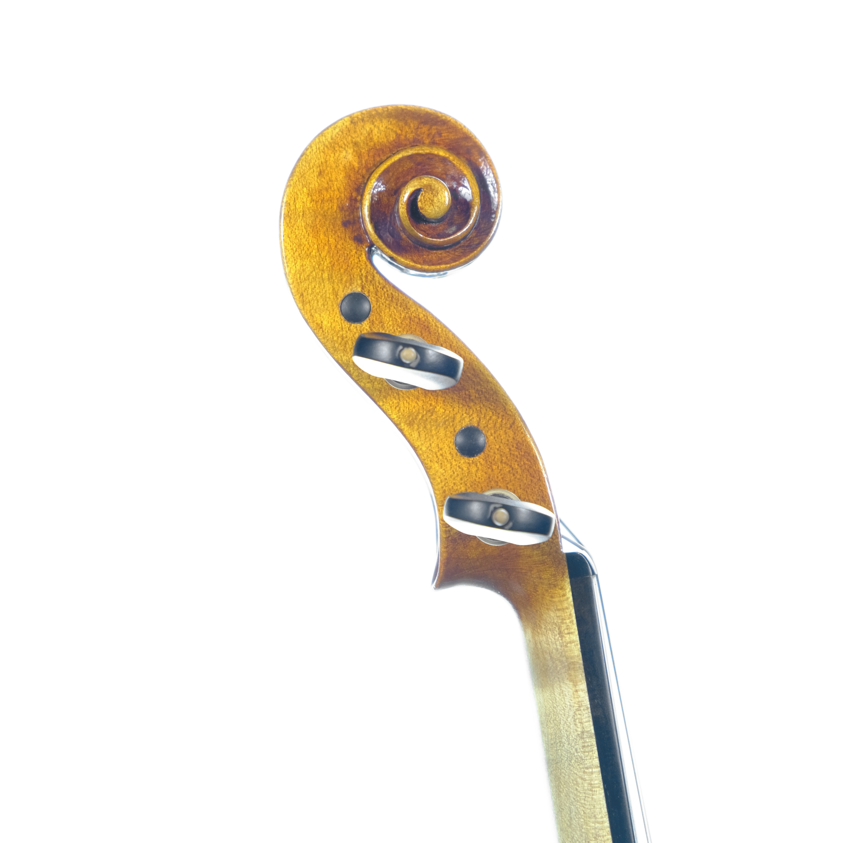 Violin - Enrico Bertoncini, Guarneri, Cremona 2024