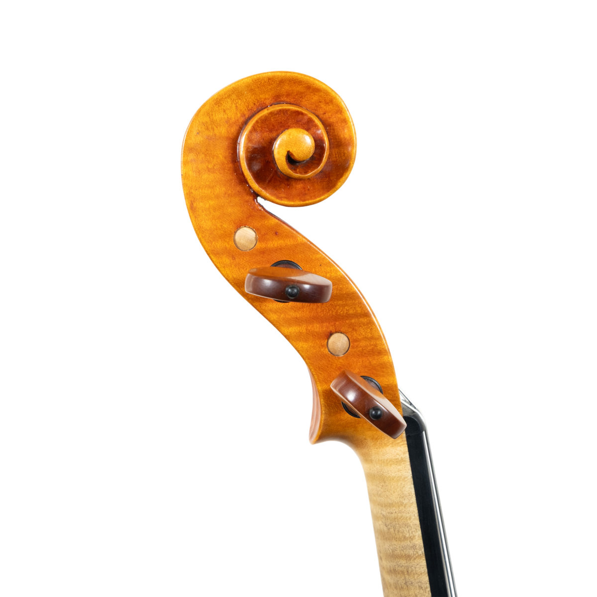 Violin - Marco Dotti, copy of Guarneri del Gesù "Ole Bull", Cremona 2026