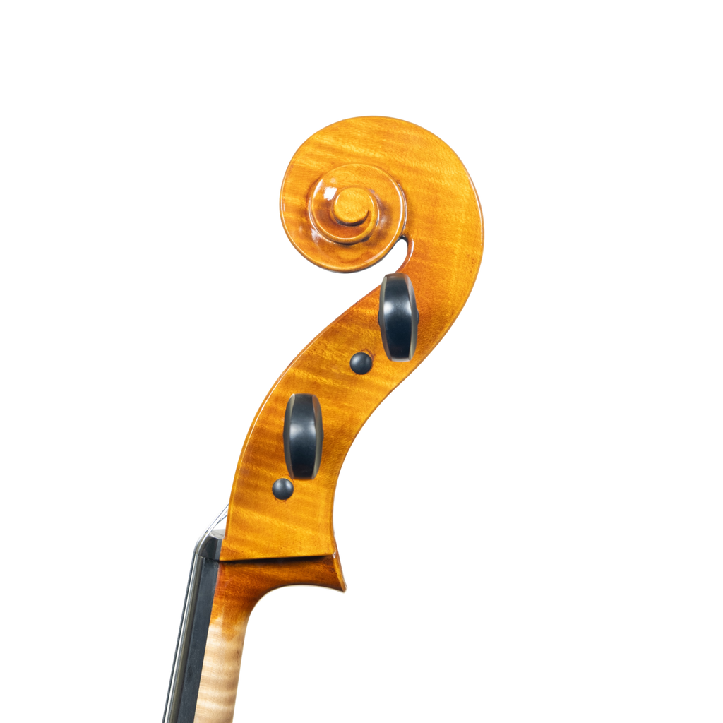 Cello - Scala Perfetta, Stradivari, Cremona 2025 "CEVEDALE"