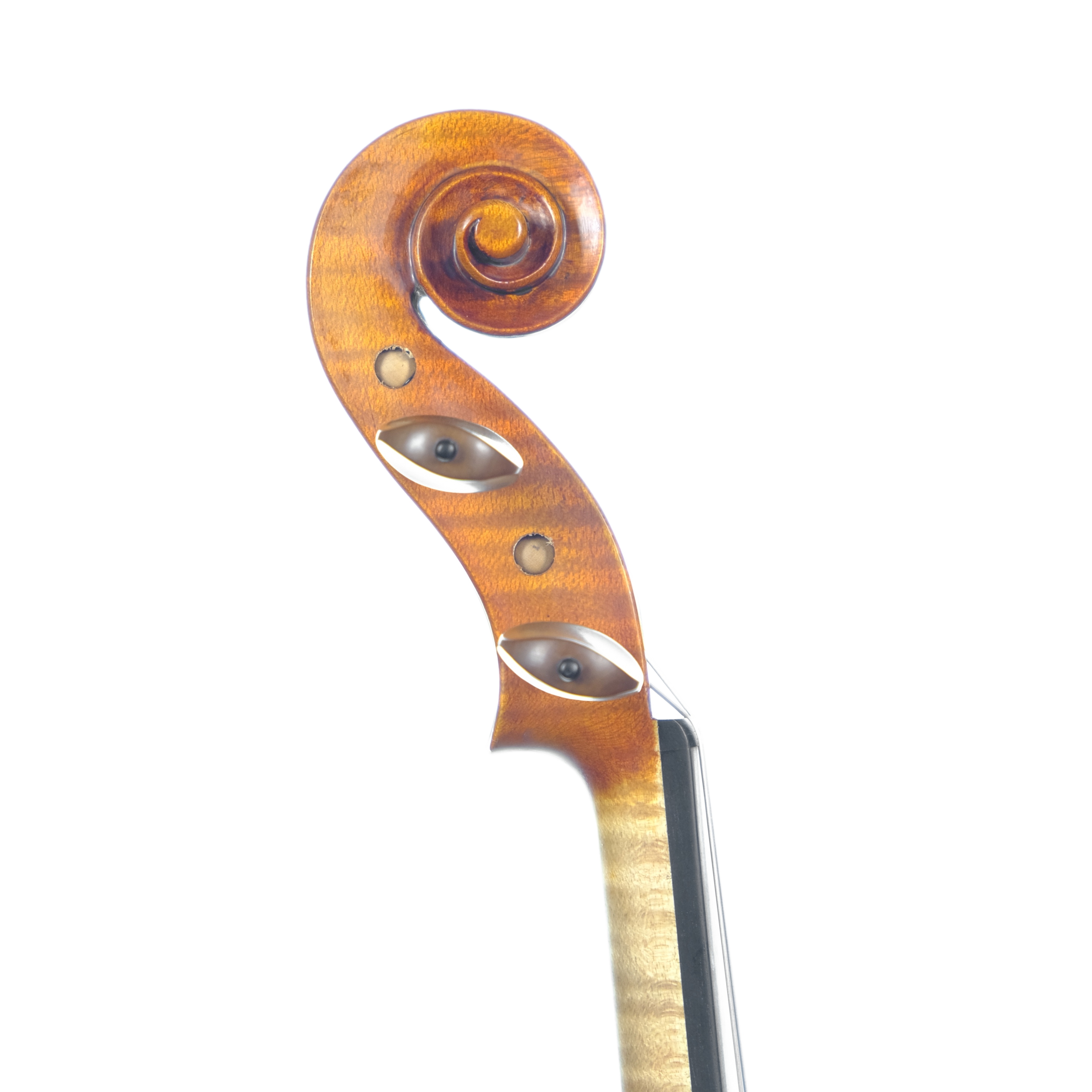 Violin - Linea Macchi, Stradivari Cremona 2024 A