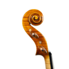 Violin - Linea Macchi, Guarneri "Cannone" 2026 Adige